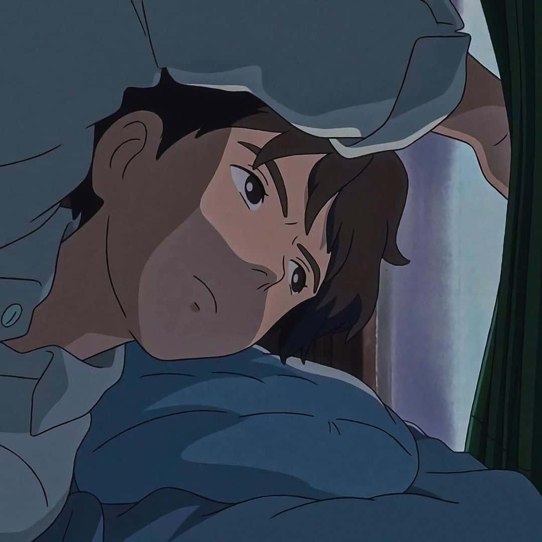 The Wind Rises Wallpaper