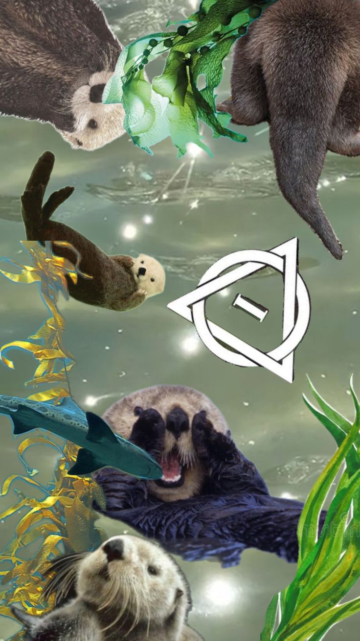 Otterrrr#therian #seaotter #water