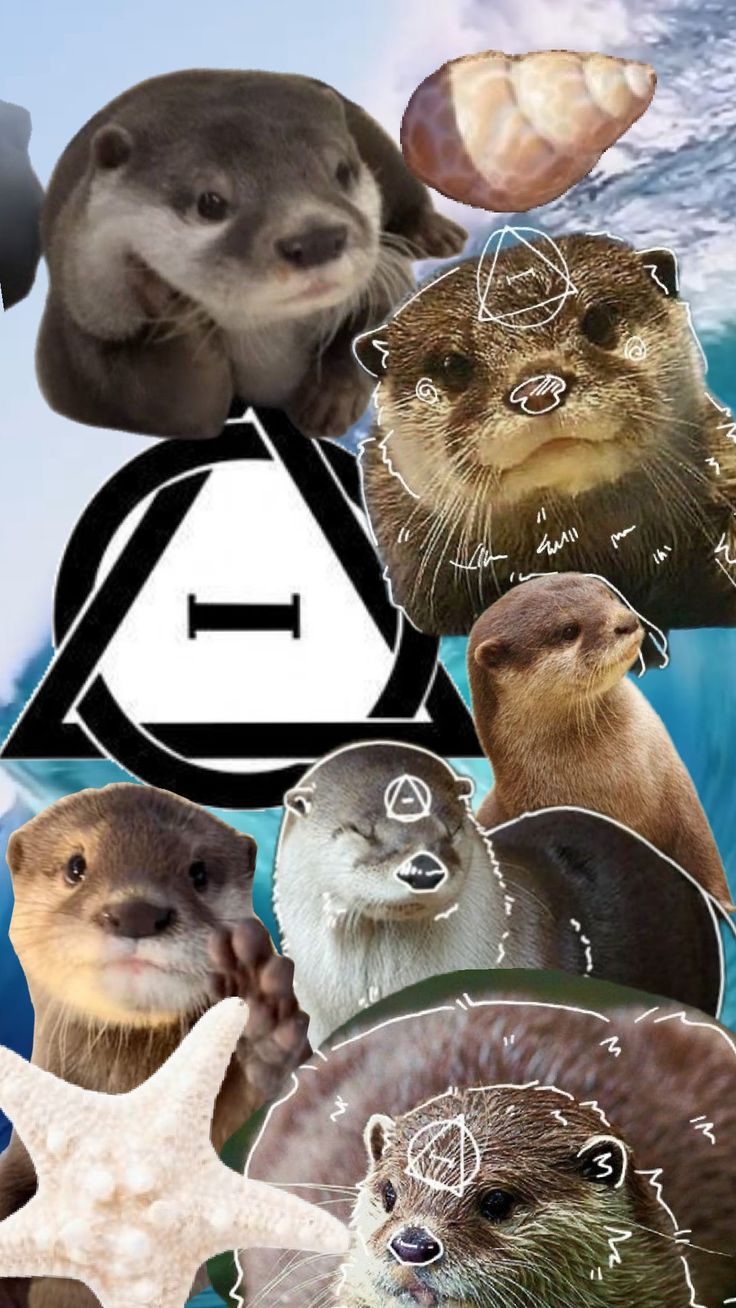 North American River Otter Therian Wallpaper