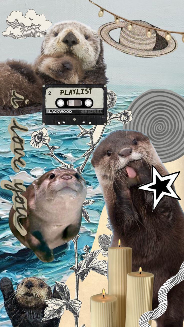 Otter Appreciation Post