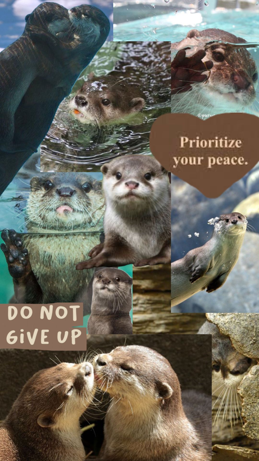 #otters #otter #underwater #quotes #aesthetic #cute #adorable