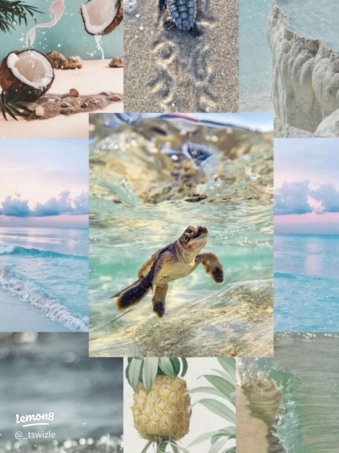 Cool Down with Ocean Blue Wallpaper: Your Summer Escape