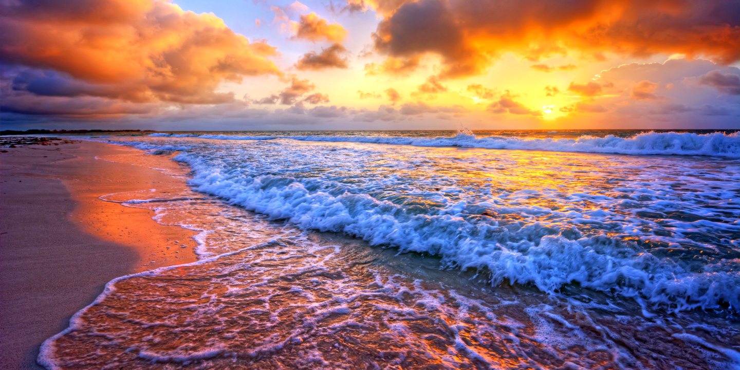 MyrtleBeach.com Ultimate Myrtle Beach Guide