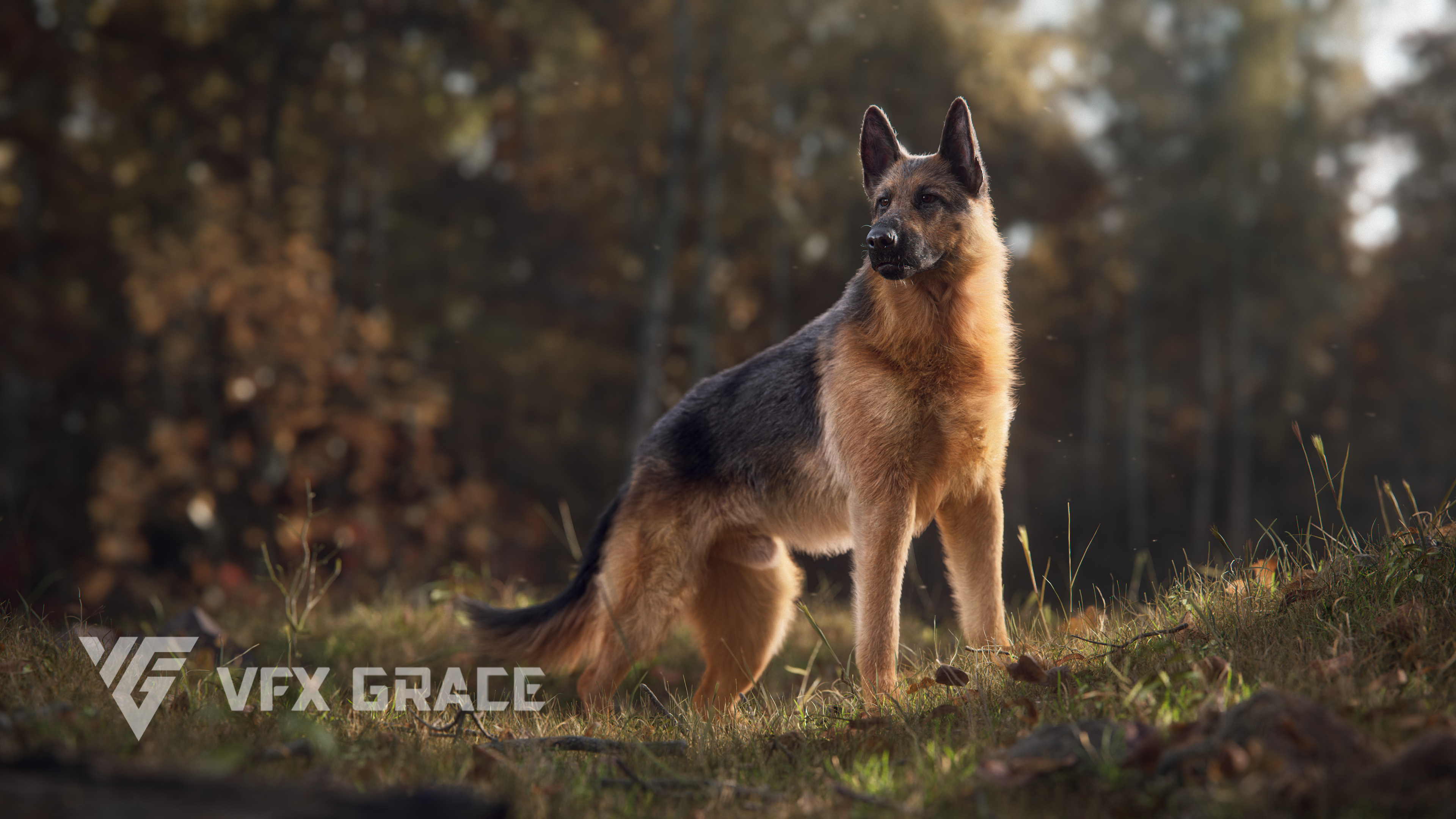 Realistic German Shepherd Render! Made with Blender Projects Artists Community