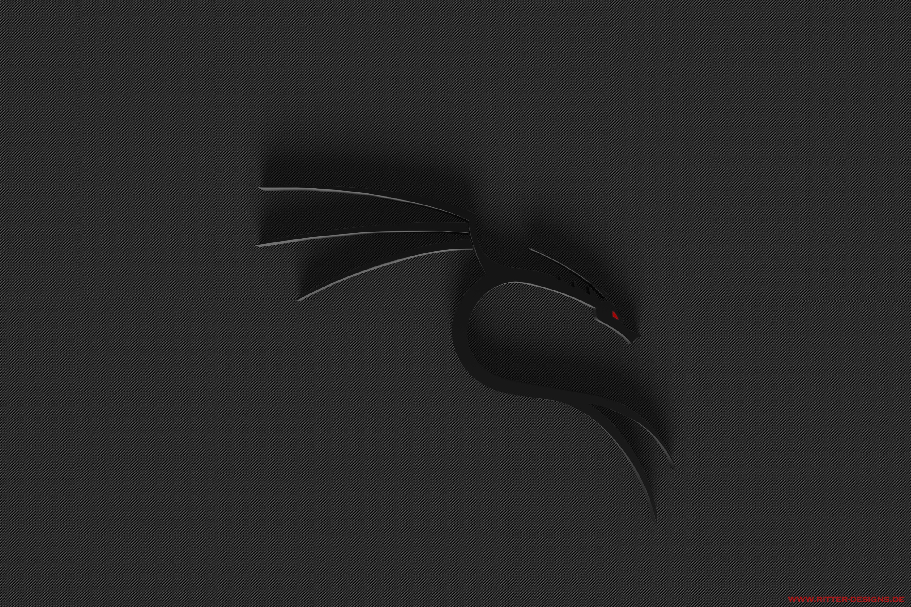 Black Dragon Kali Linux Desktop wallpaper 1920x1200