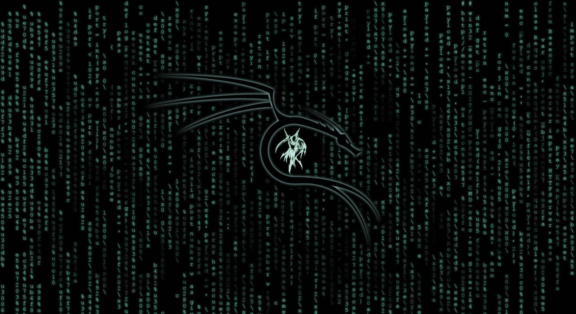 Download free Codes Of Kali Linux Wallpaper