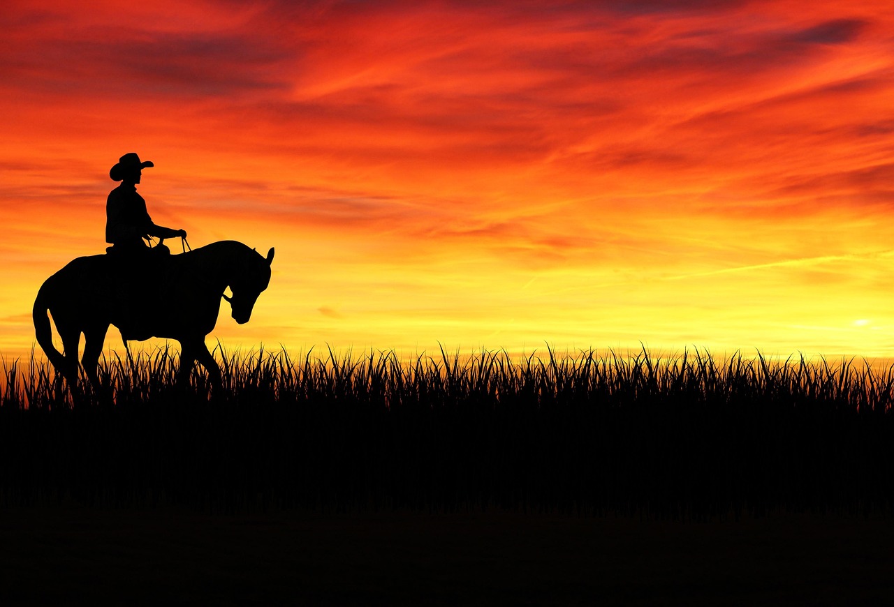 Cowboy Horse Silhouette