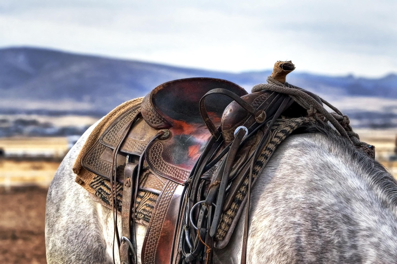 Free Cowboy Horse & Cowboy Image