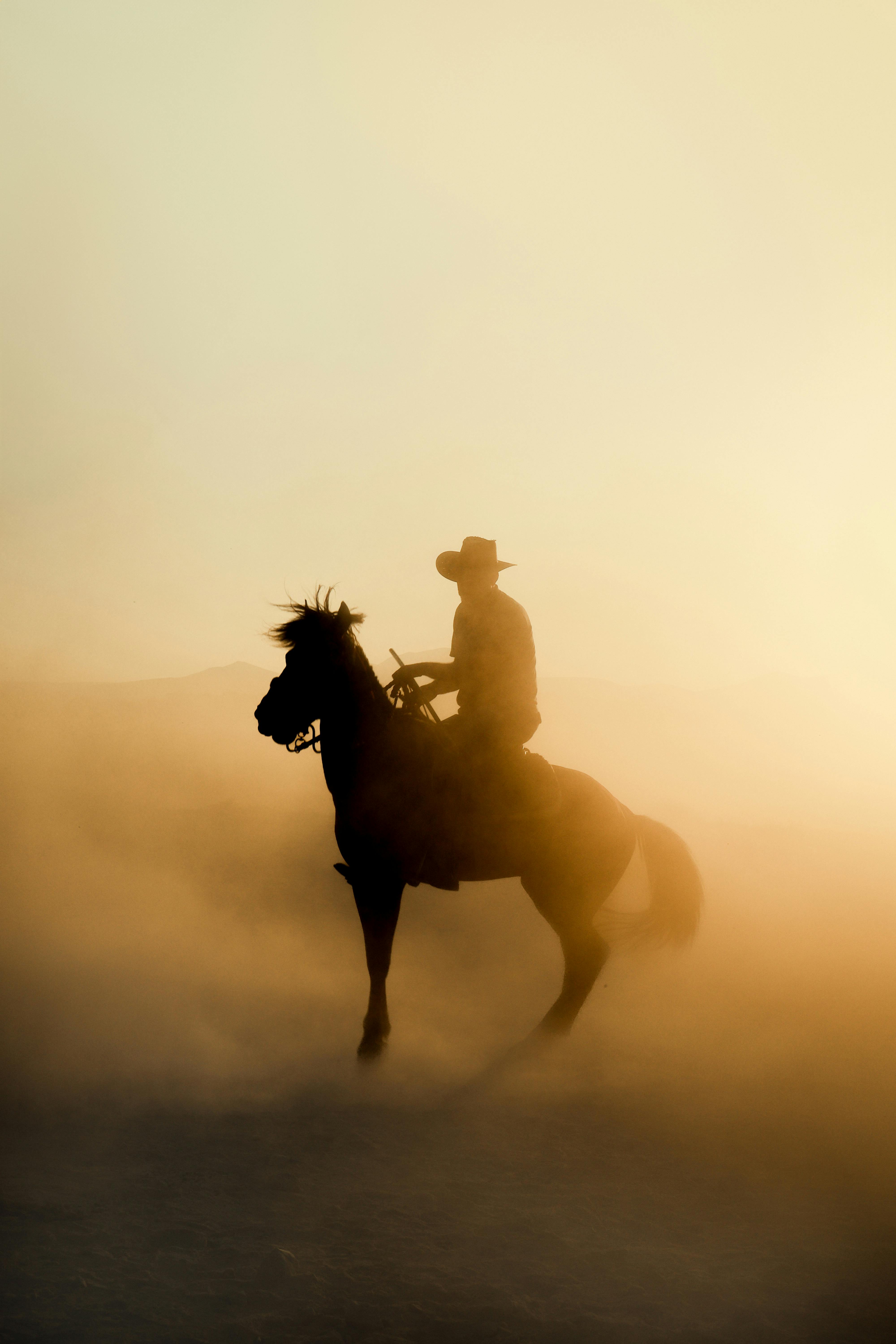 A cowboy riding a horse in the desert at sunset · Free