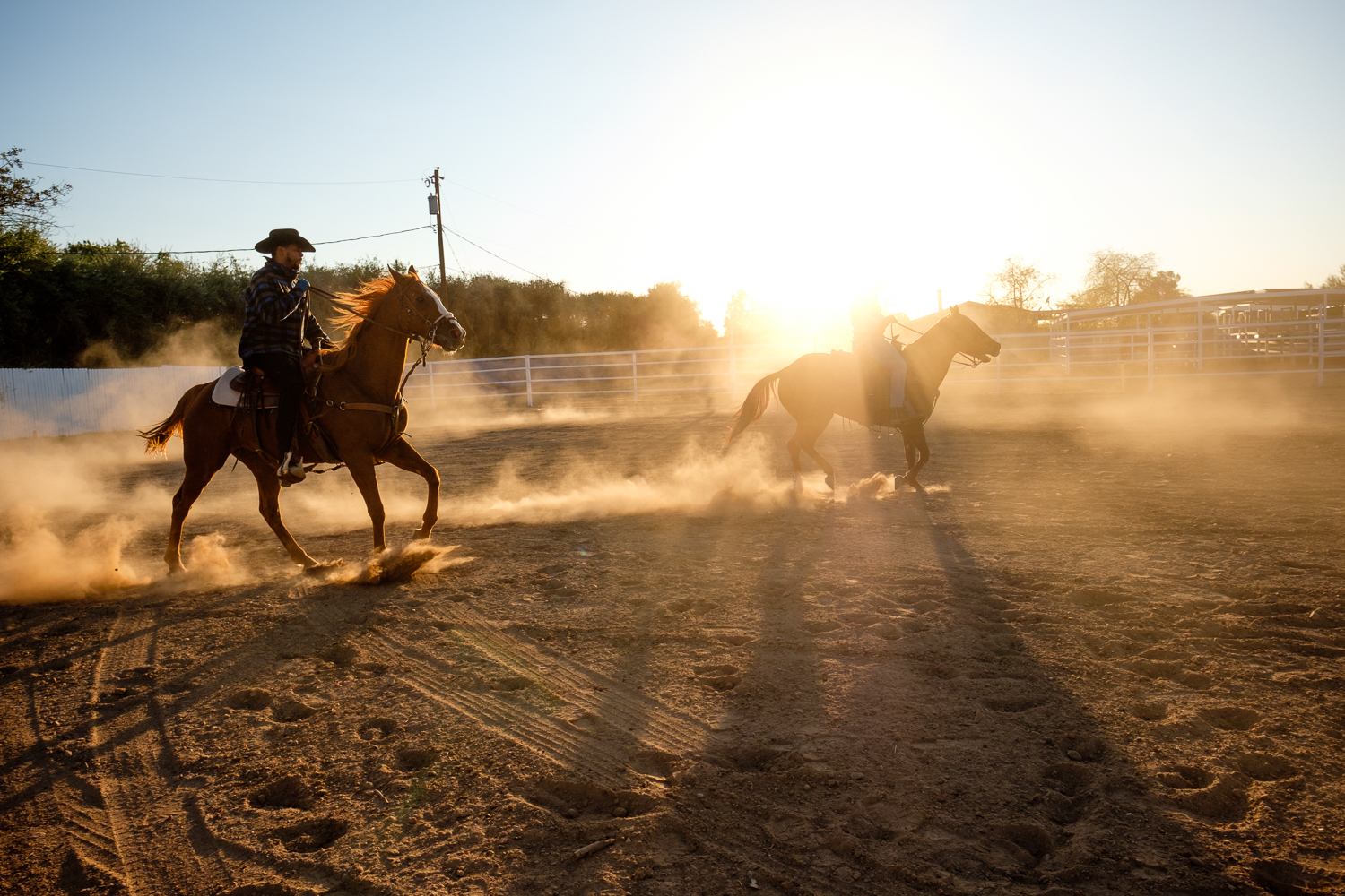 Black cowboys reclaim their history in the West Country News