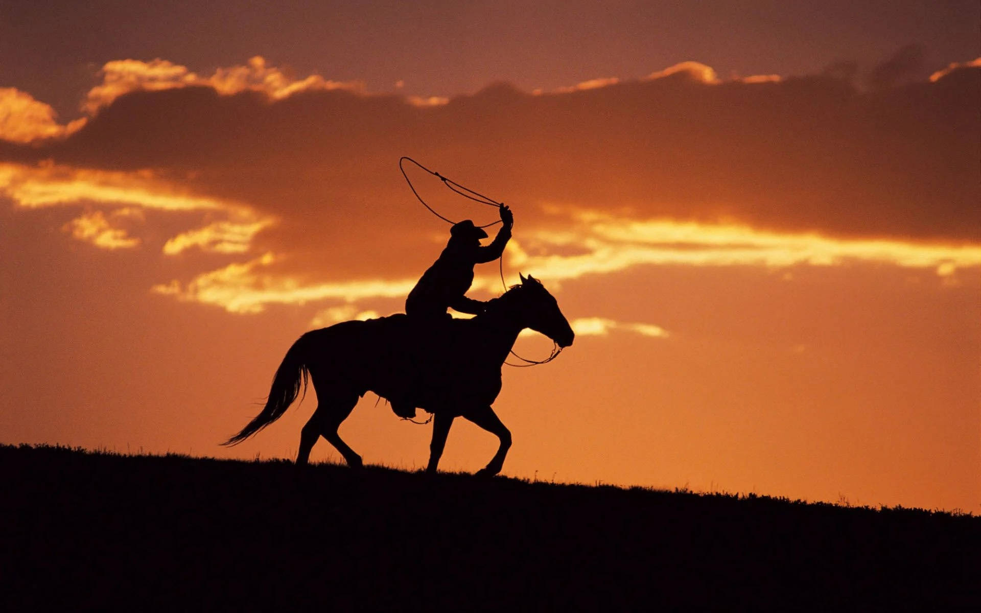 Download Horse Riding Cowboy Silhouette Sunset Wallpaper