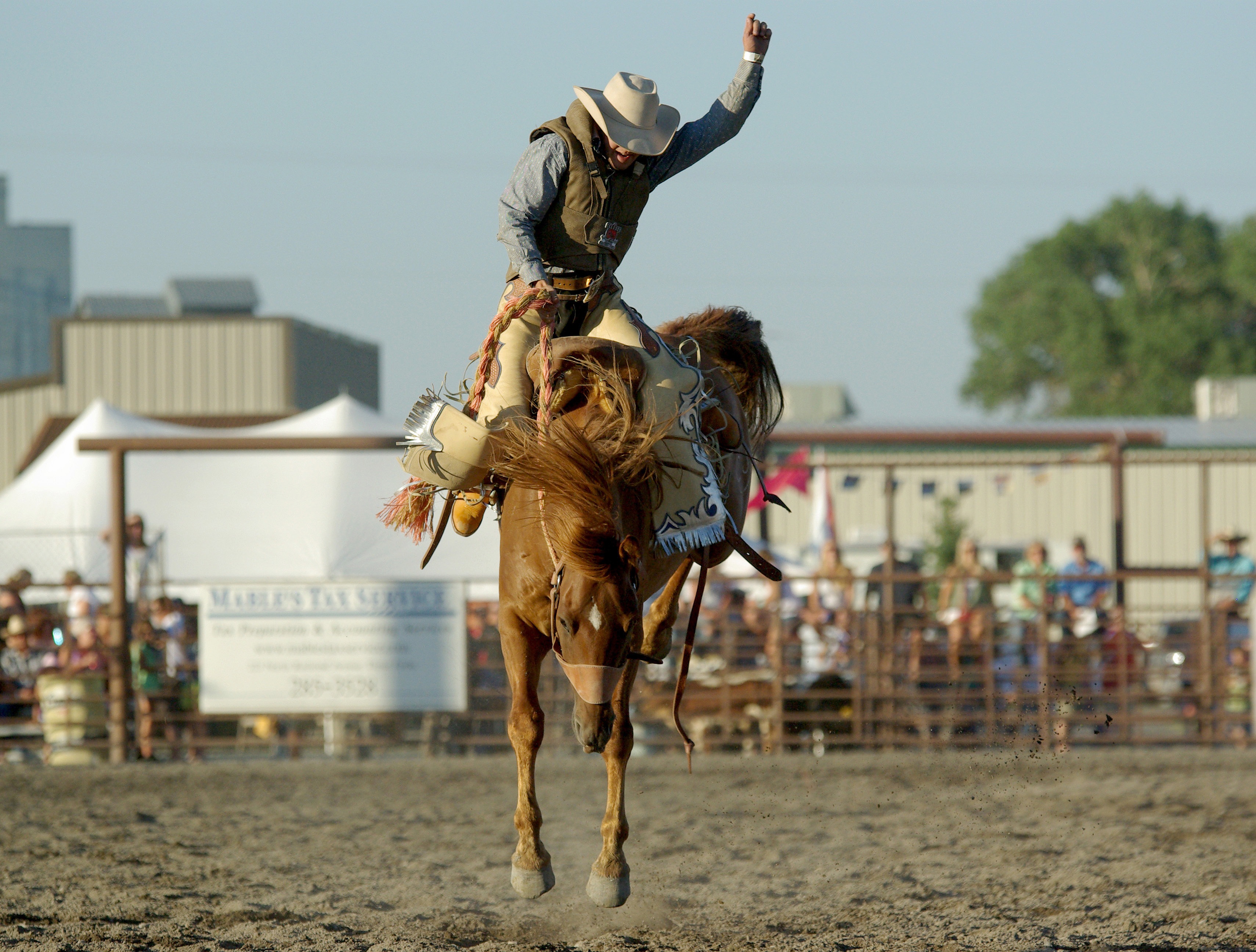 Download Cowboy Horse Rodeo Sports HD Wallpaper