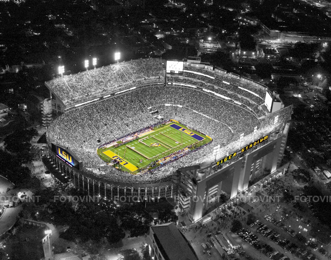 LSU TIGERS Photo Picture TIGER Stadium College Football Spotlight Photograph Print 8x10, 8.5x11, 11x14 or 16x20
