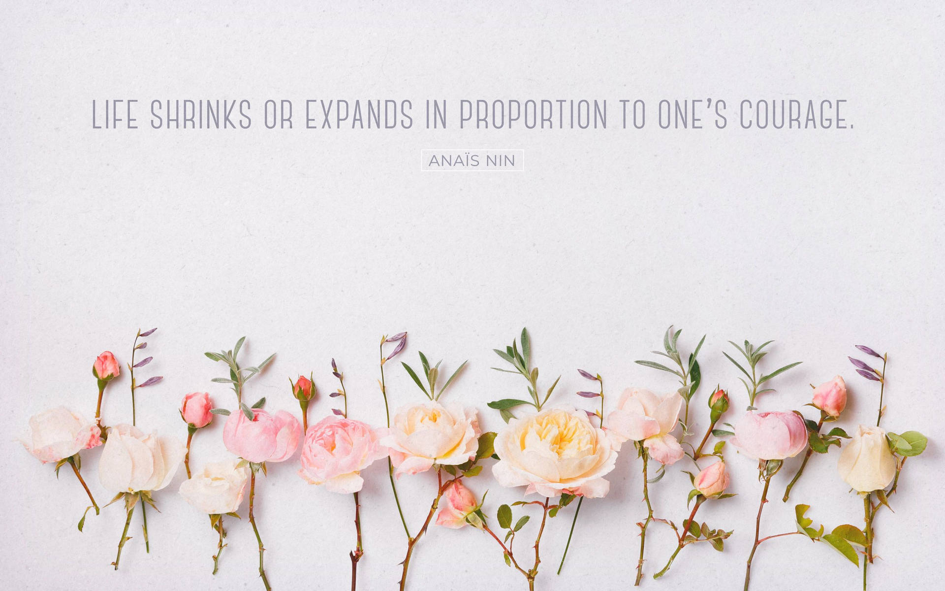 2200 Quotes Wallpaper