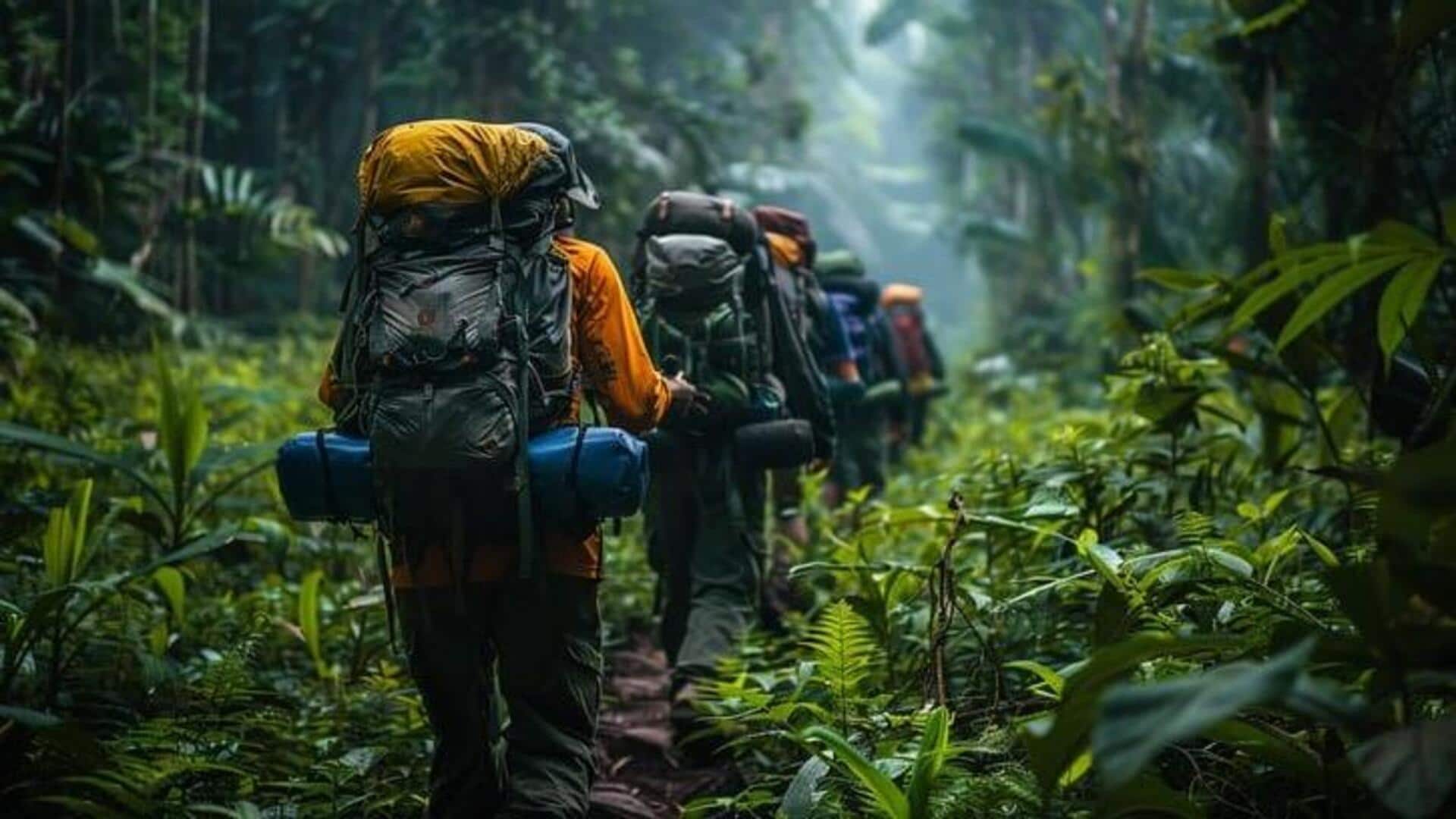 A guide to exploring urban rainforests