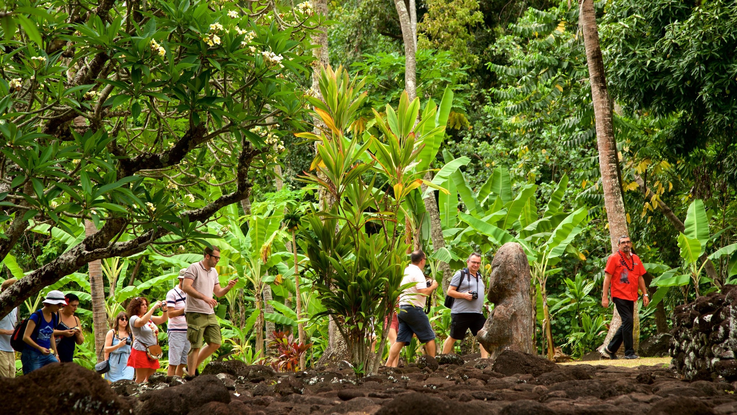 Visit Paea: 2025 Travel Guide for Paea, Windward Islands