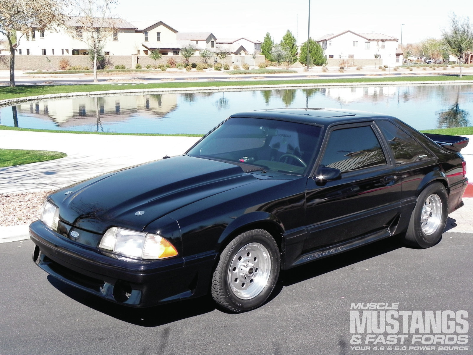 Ford Mustang GT Muscle Stang