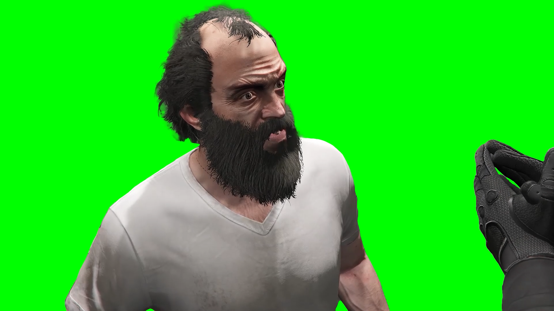 GTA 5 Bravo! You Fucking Idiot! meme and Michael Green Scr