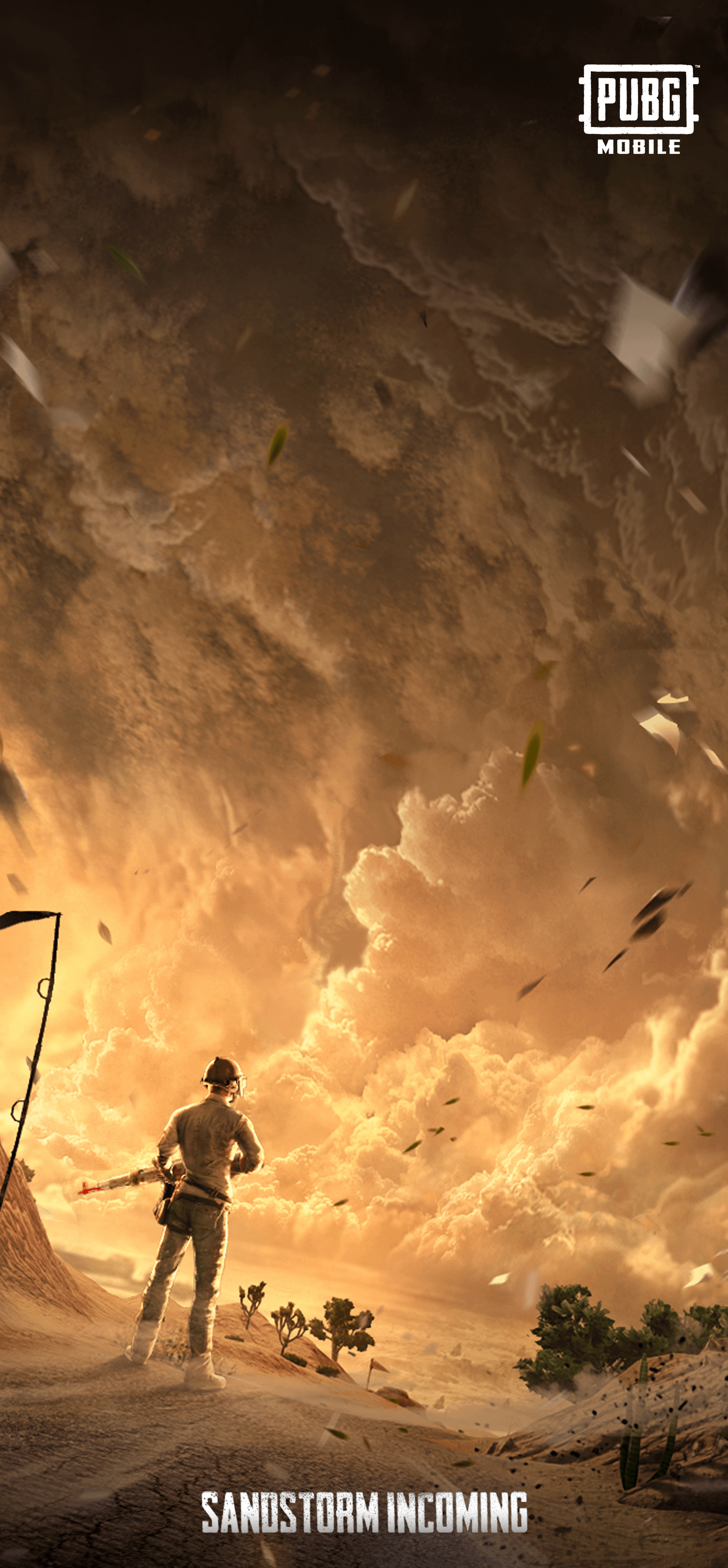 To Celebrate Mad Miramar, here's a mobile wallpaper with the PUBG artwork. Who loves how the sandstorm looks in the game?