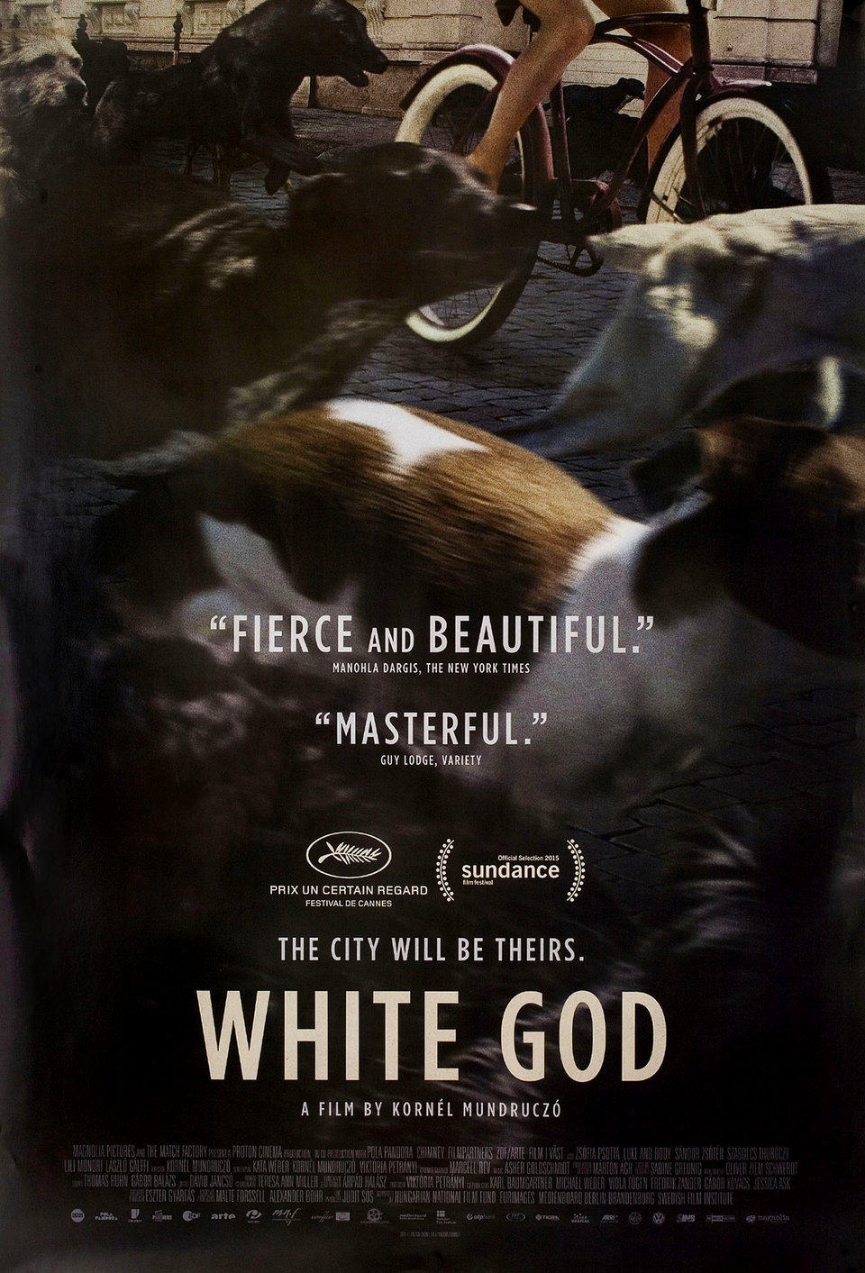 White God Original 2015 U.S. One Sheet Movie Poster