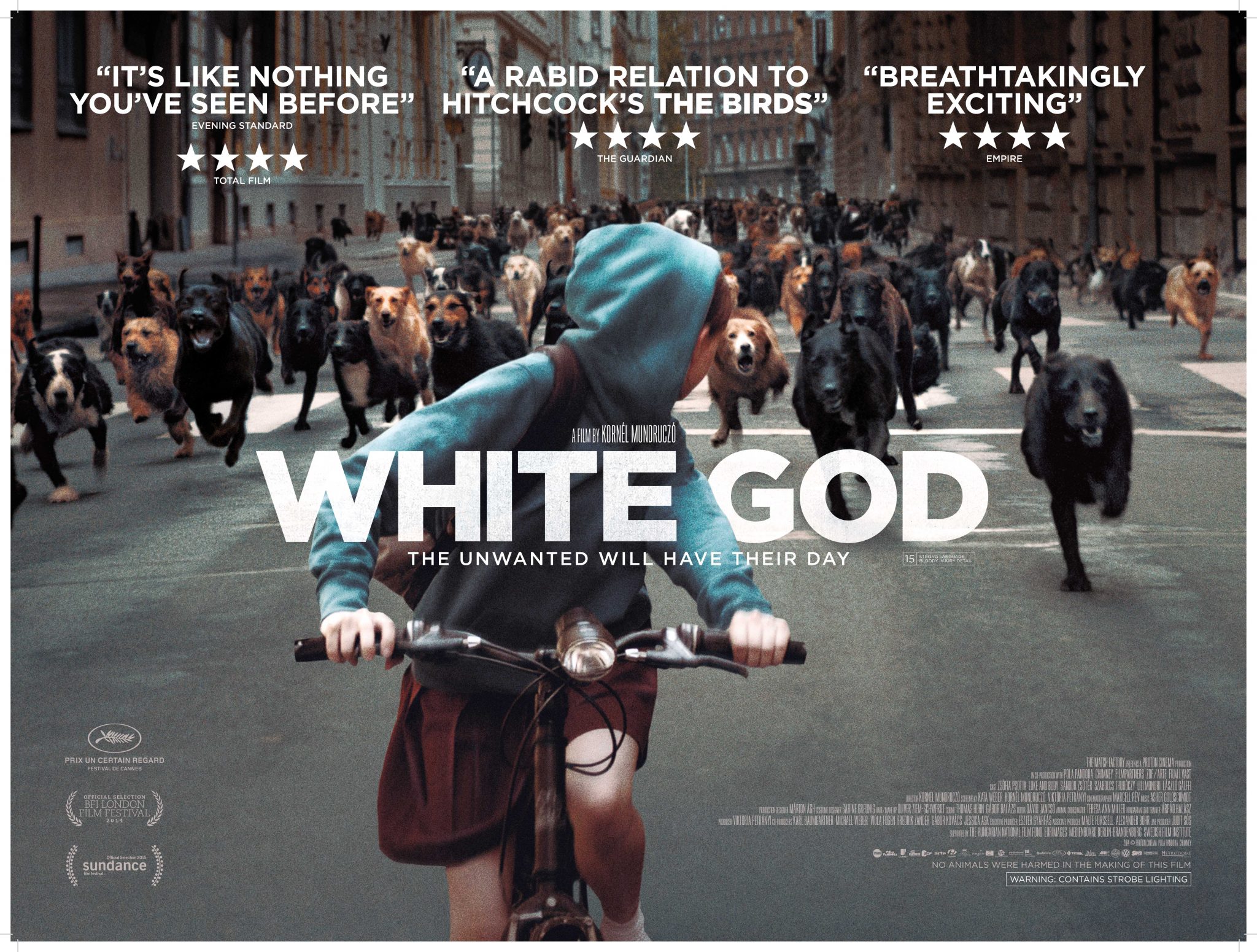Film Review: White God