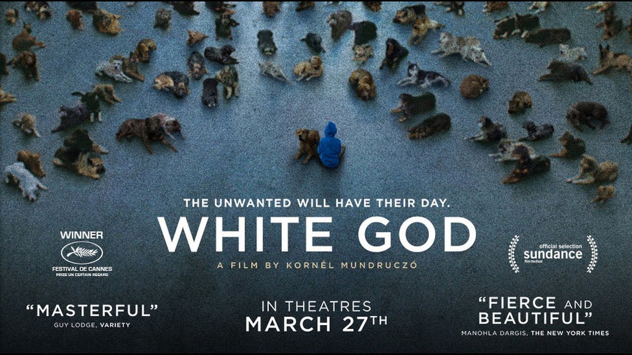 White God