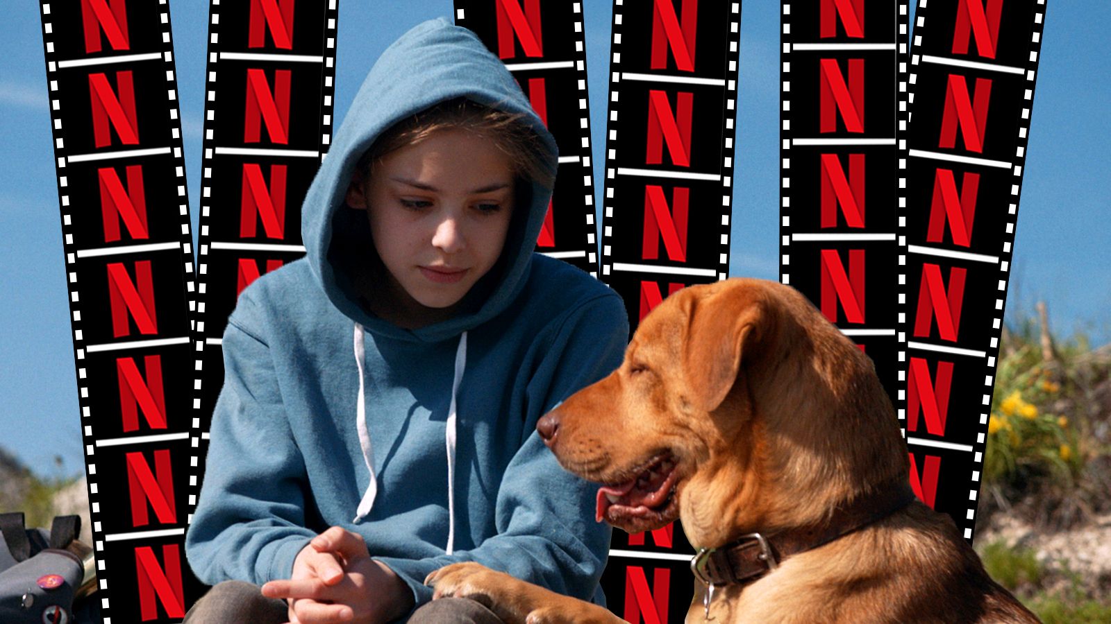 White God' Is the Movie on Netflix That Every Dog Owner Should See
