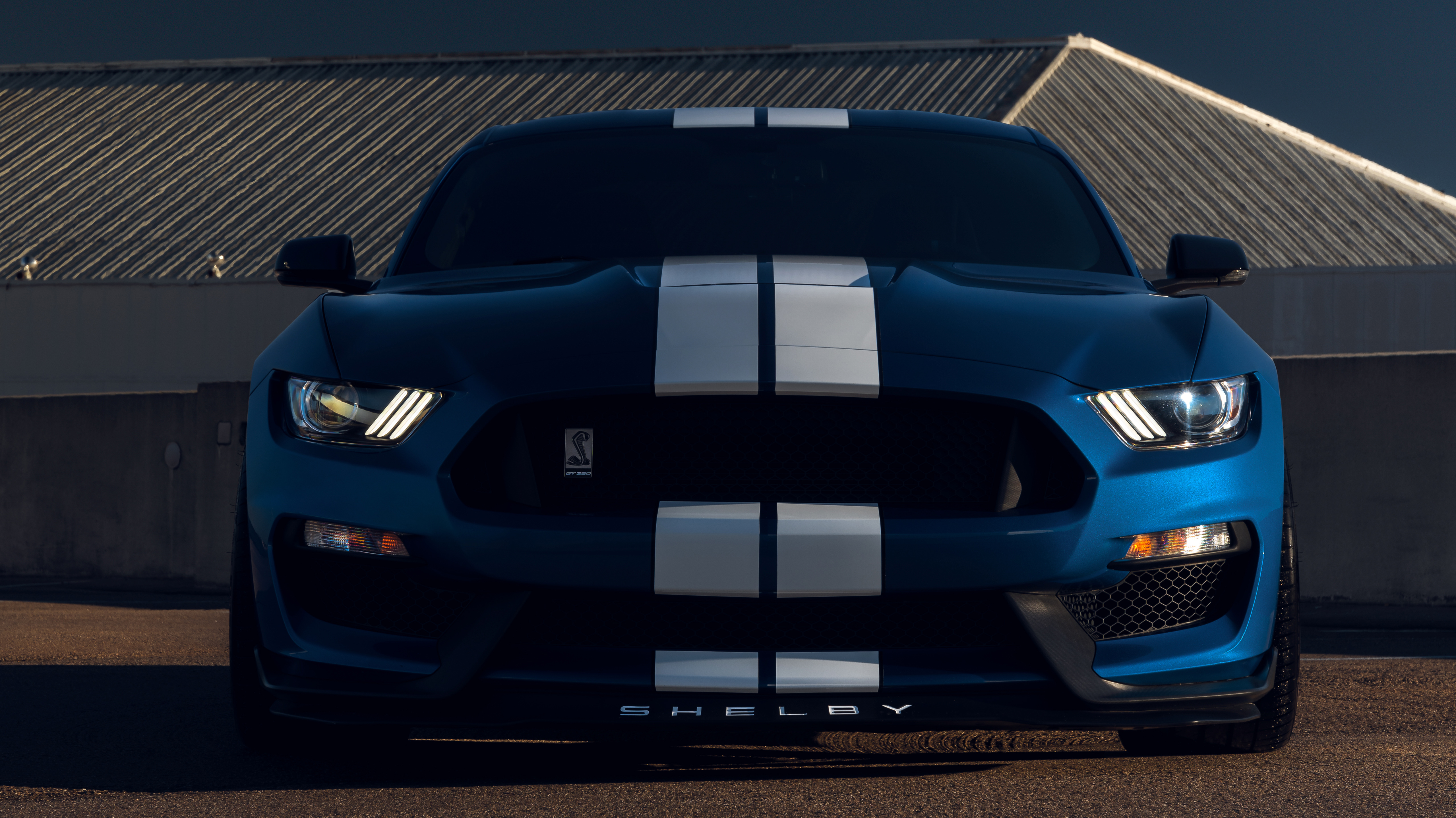 Ford Mustang Shelby GT350 5K 6 Wallpaper Car Wallpaper