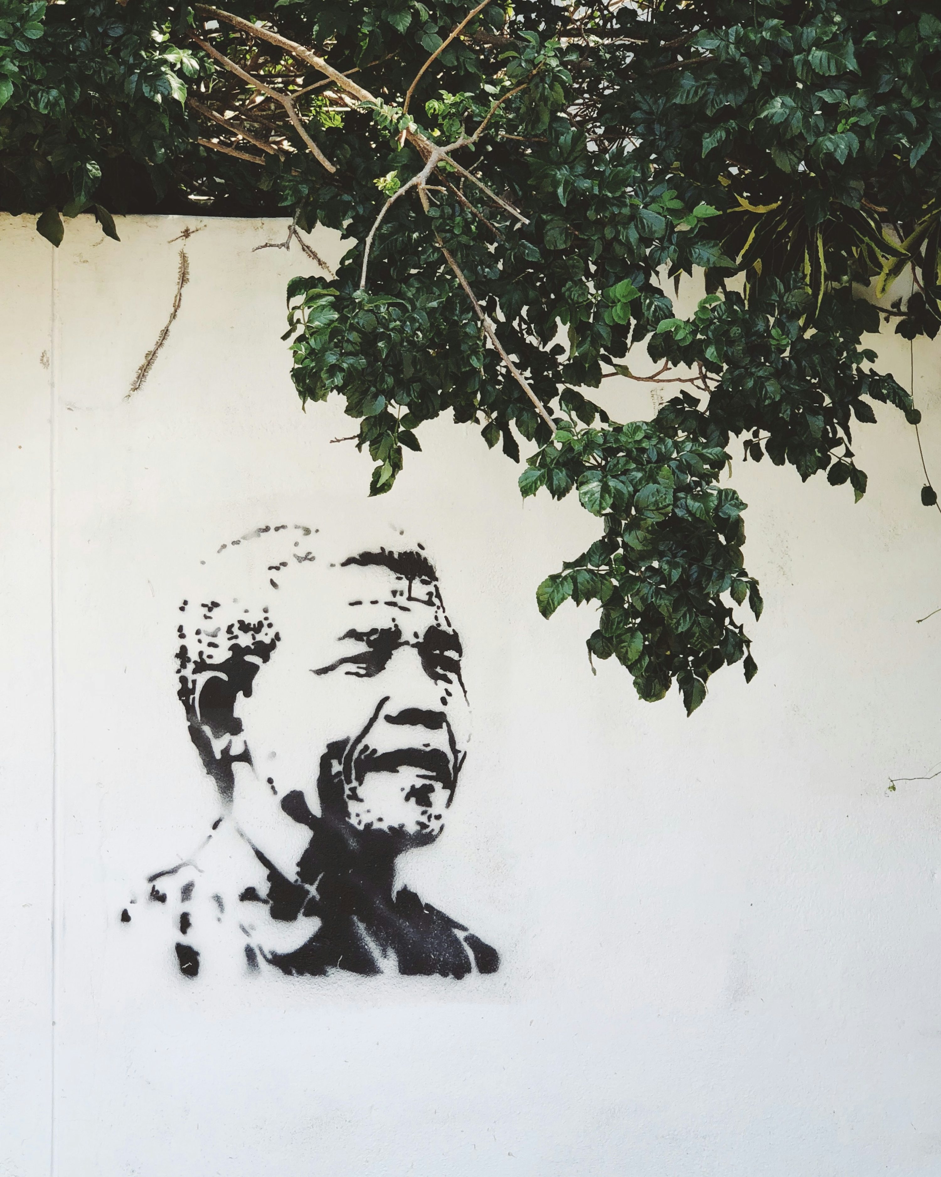 Nelson Mandela Picture [HD]. Download Free Image