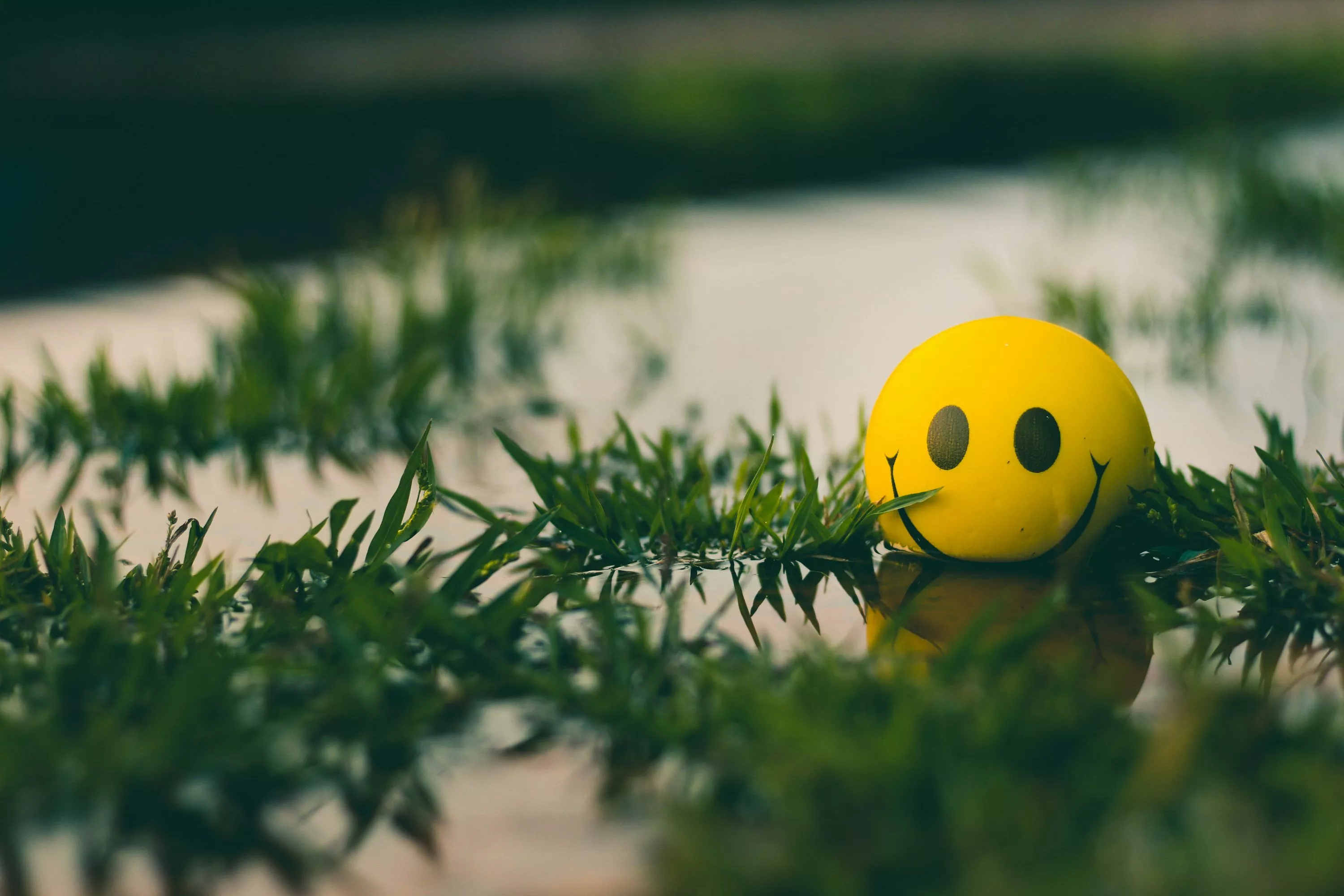 Smiley Face Picture. Download Free Image