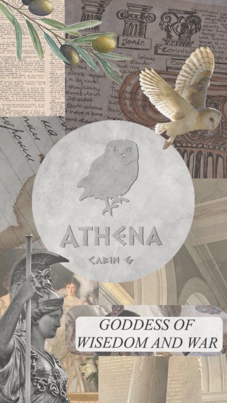 for fellow cabin six #pjo #athena #cabin6 #percyjackson