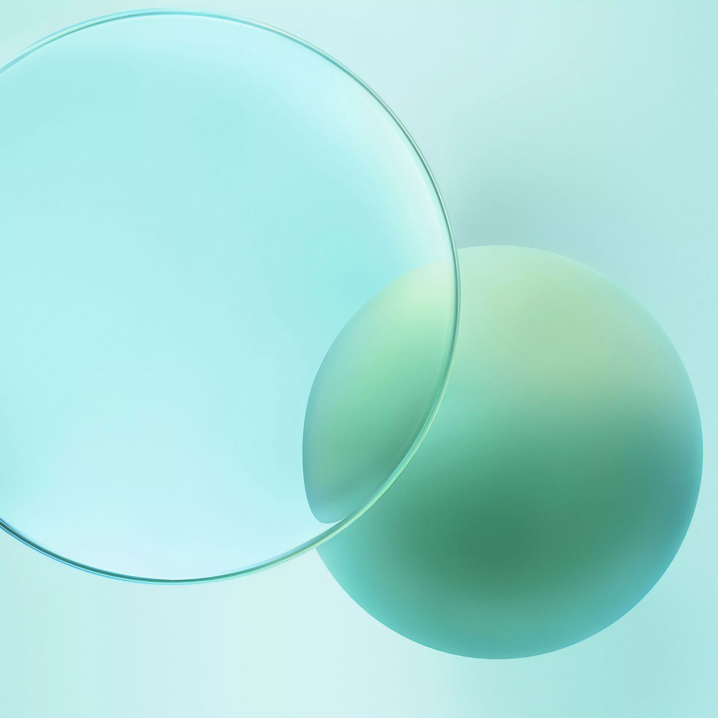 Honor 400 Lite wallpaper