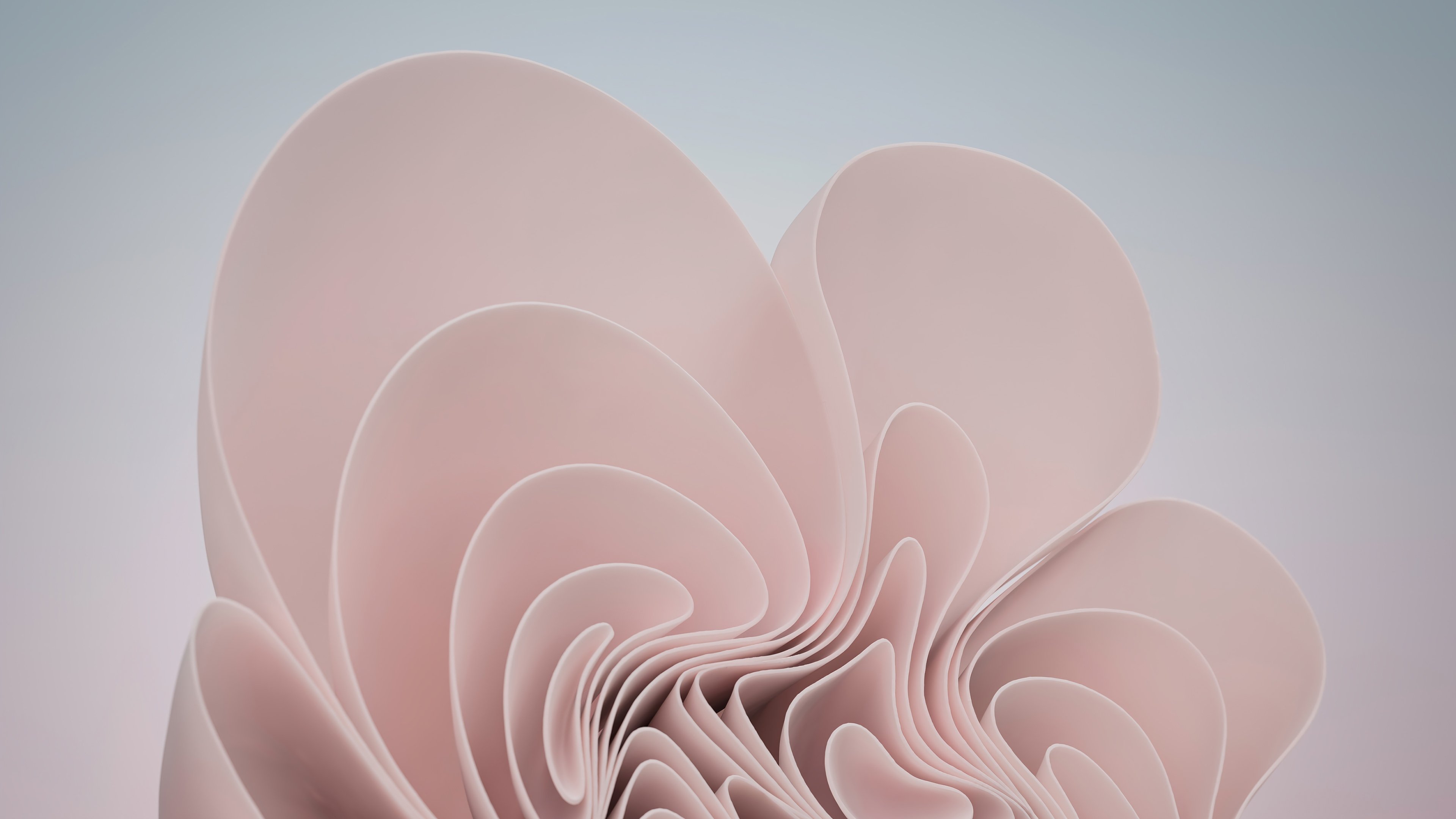 Windows 11 pink Abstract Aesthetic Wallpaper 4k for Desktop