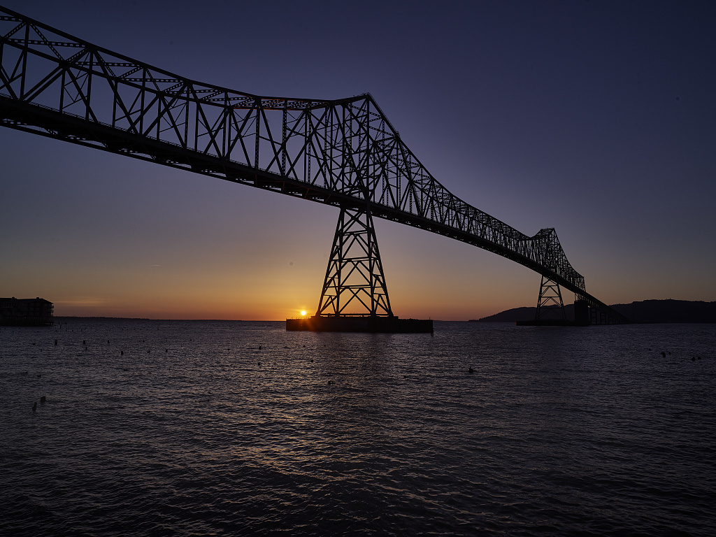 Truss: Bird or Bridge?