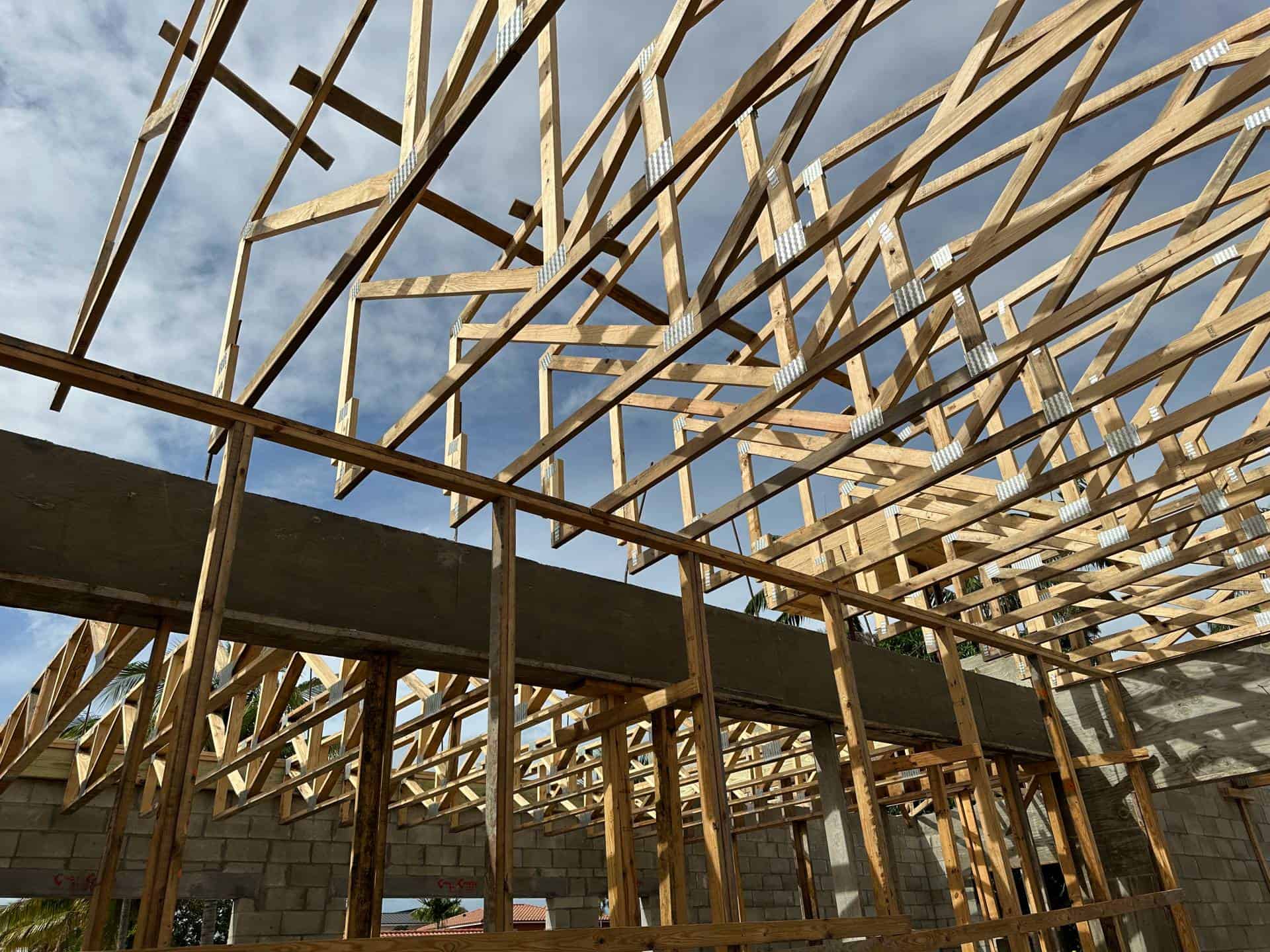 Episode 5 Floor Trusses