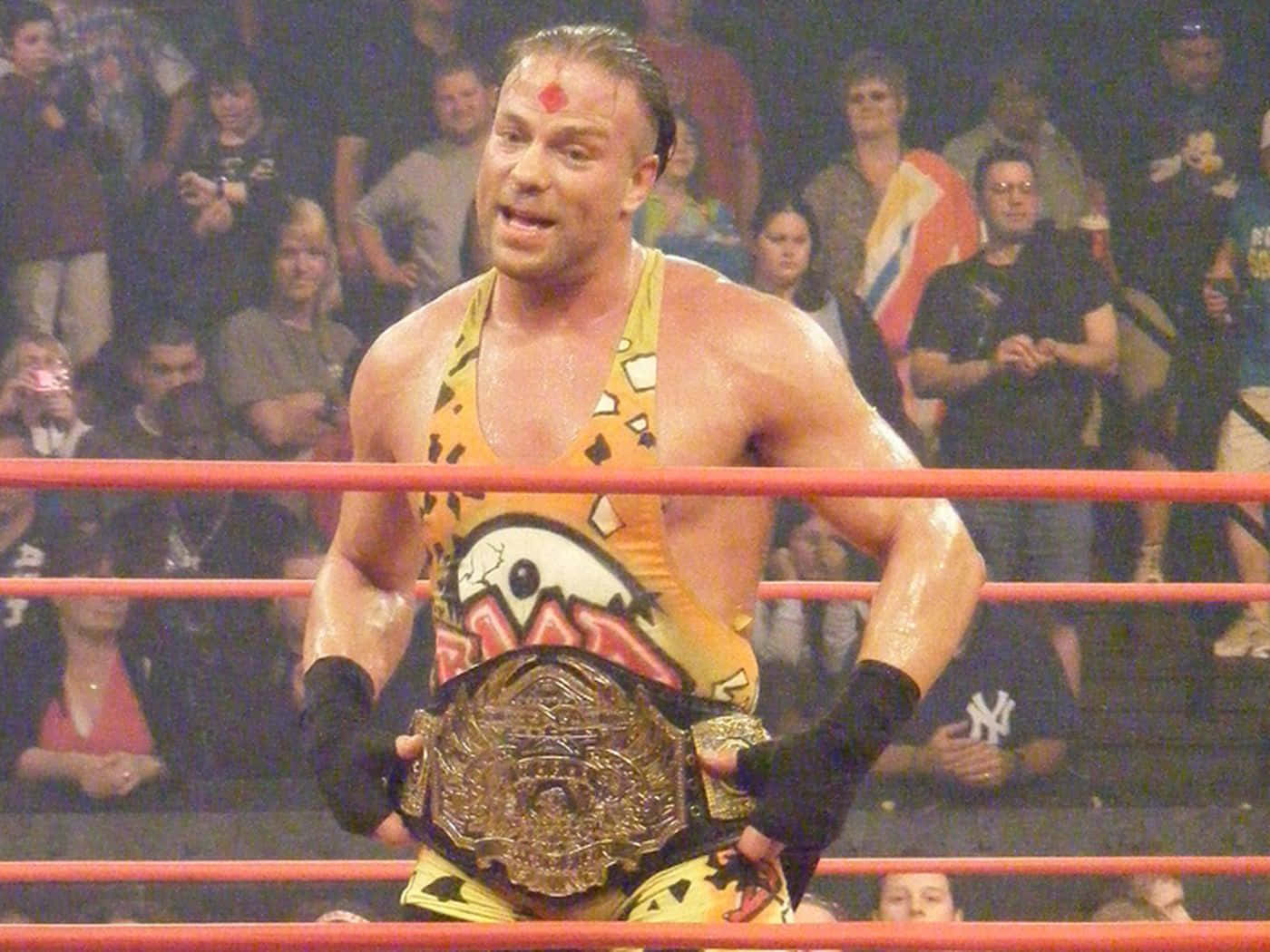 Download Rob Van Dam Tna World Championship Wallpaper