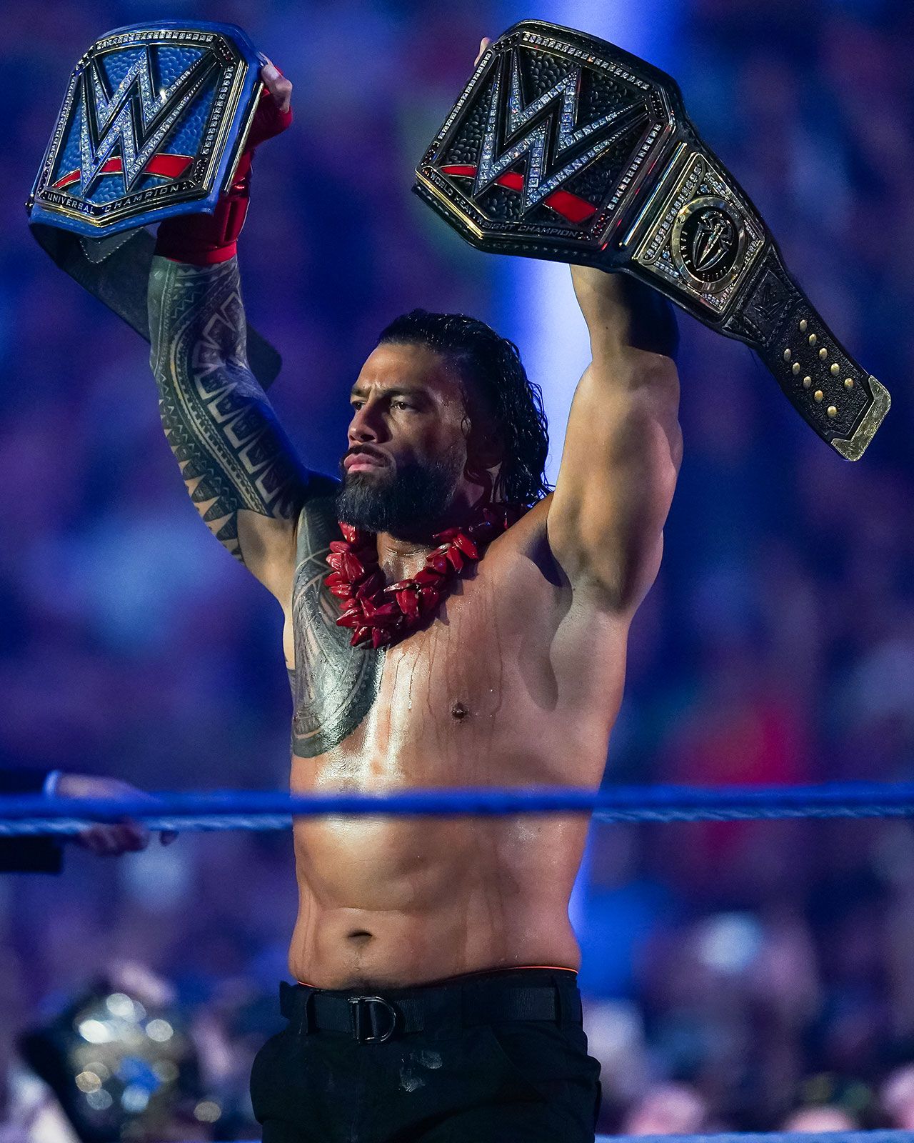 Roman Reigns. Biography, WWE, Championships, Bloodline, Family, & Facts