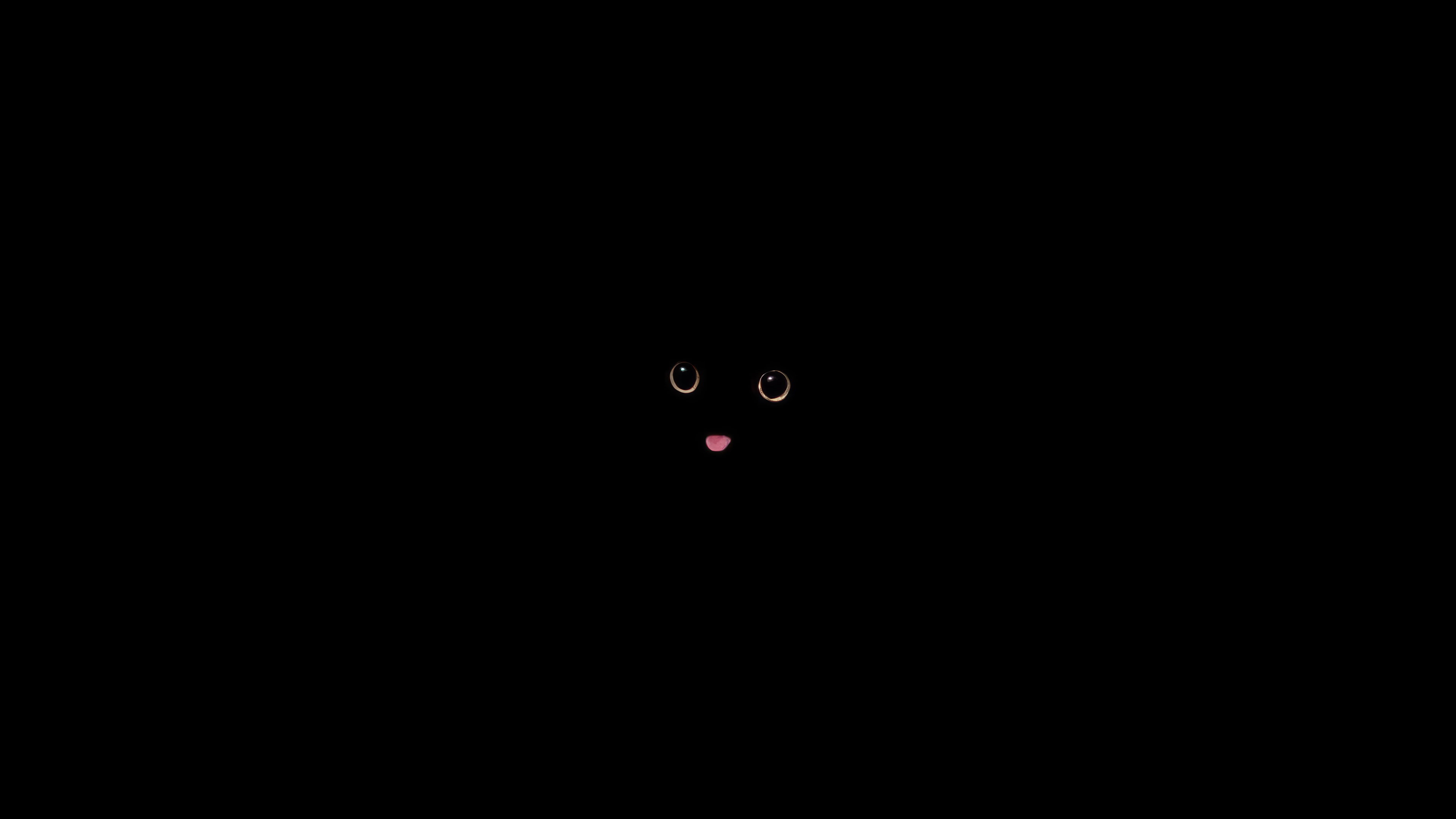 Black Cat Background Wallpaper 4K HD PC c