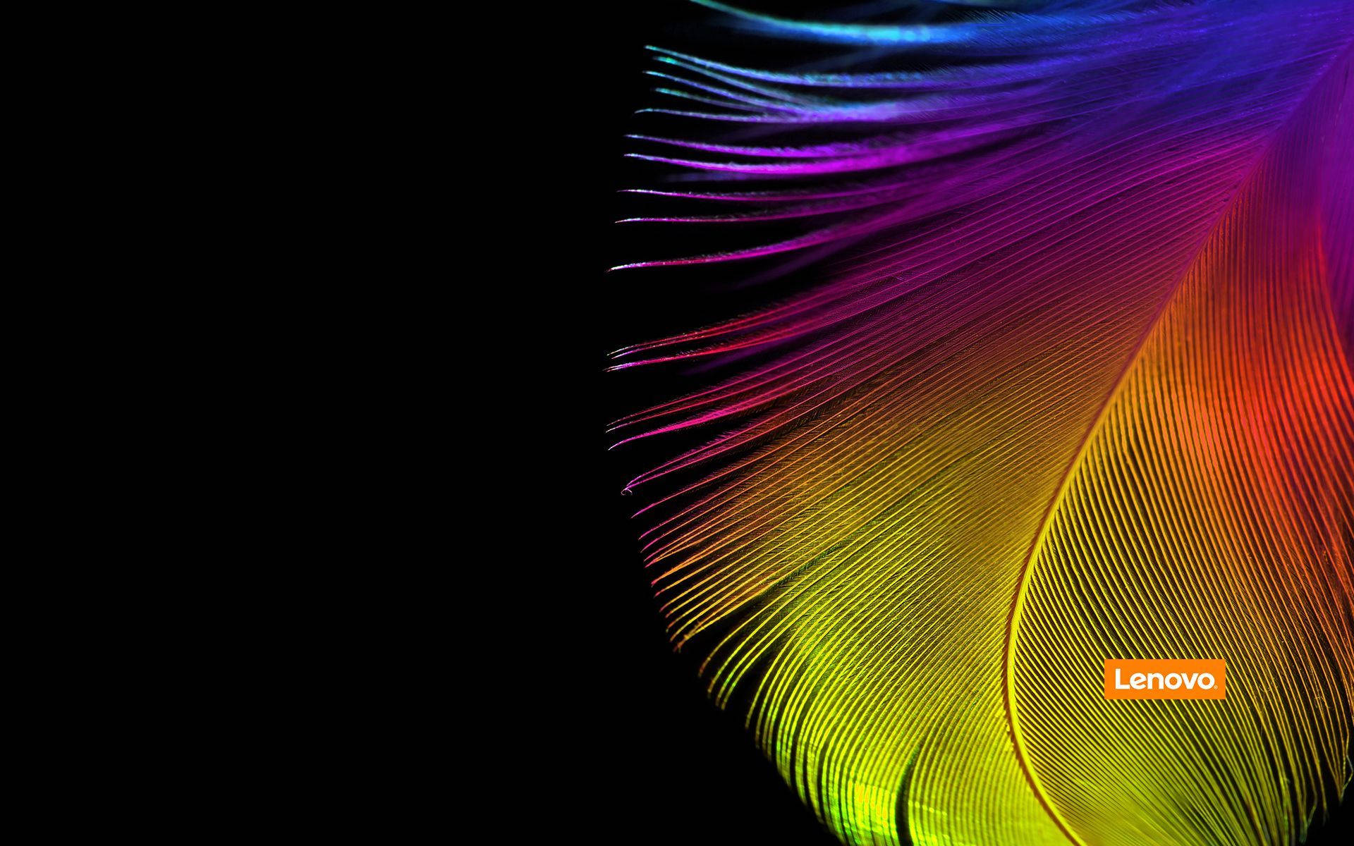 Download Colorful Feather Yoga Lenovo Official Wallpaper