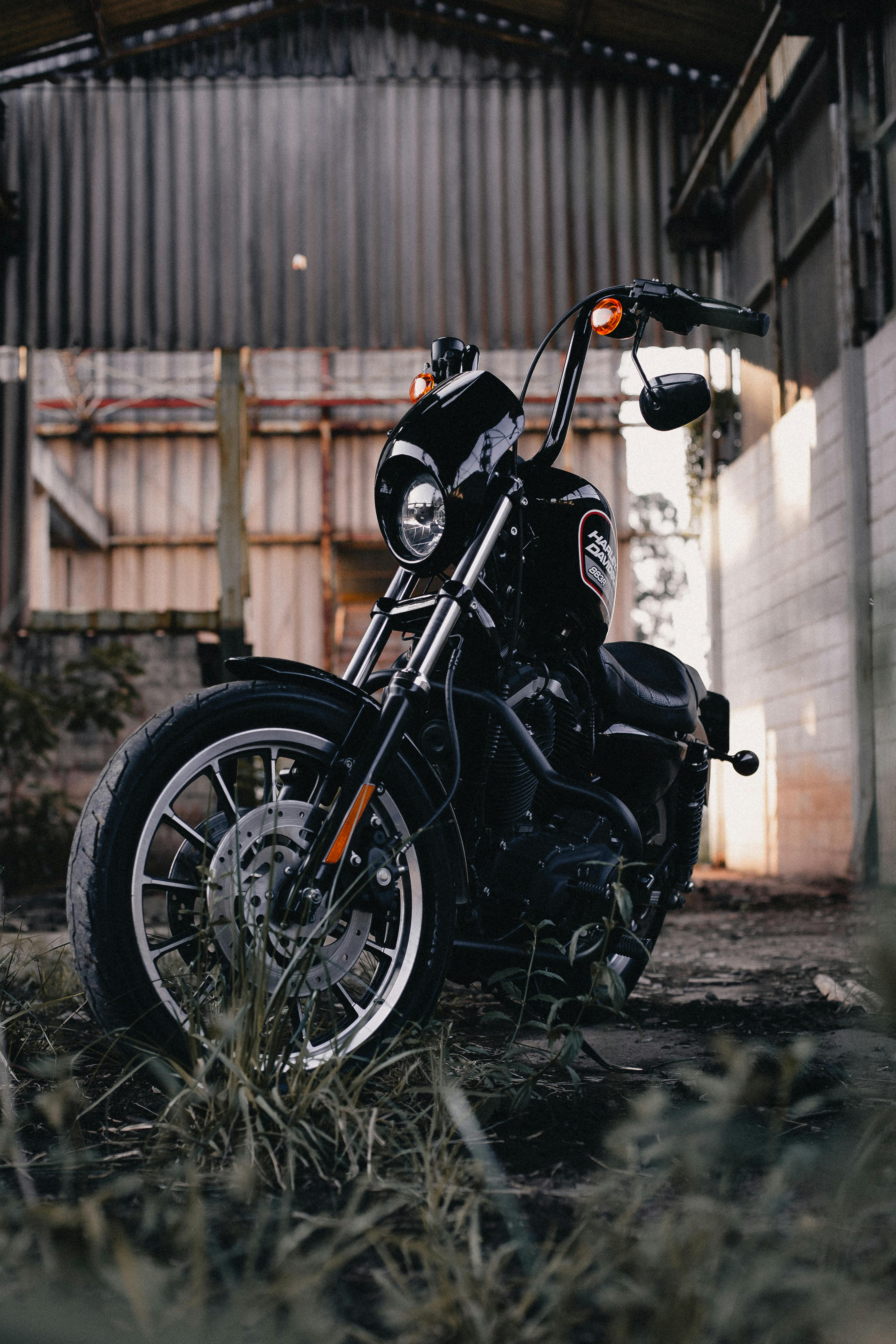 Harley Davidson Photo, Download The BEST Free Harley Davidson & HD Image