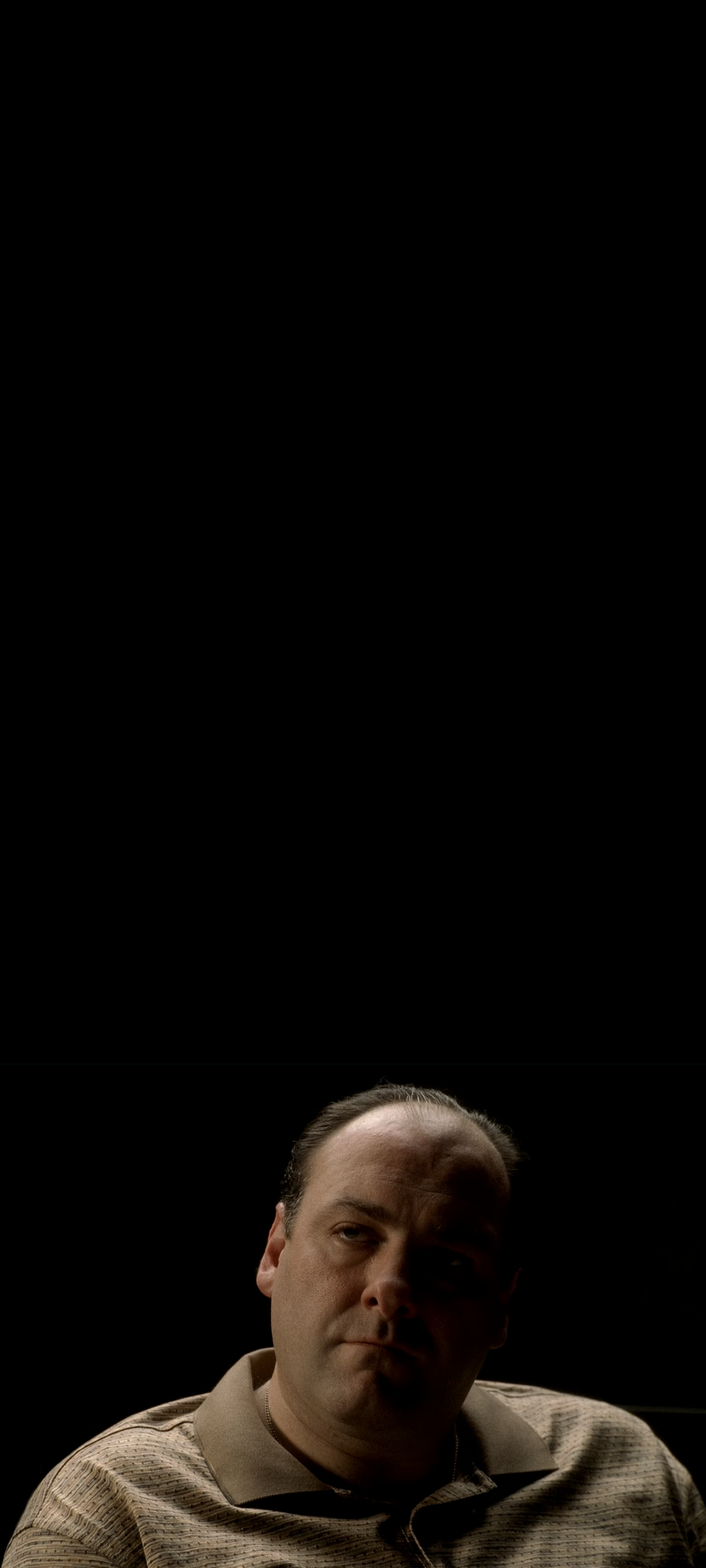 Tony Soprano [2160x4800]