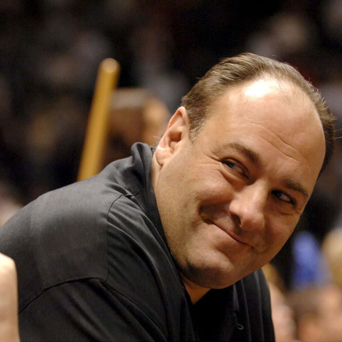 Download Actor James Gandolfini in his role as Tony Soprano Wallpaper