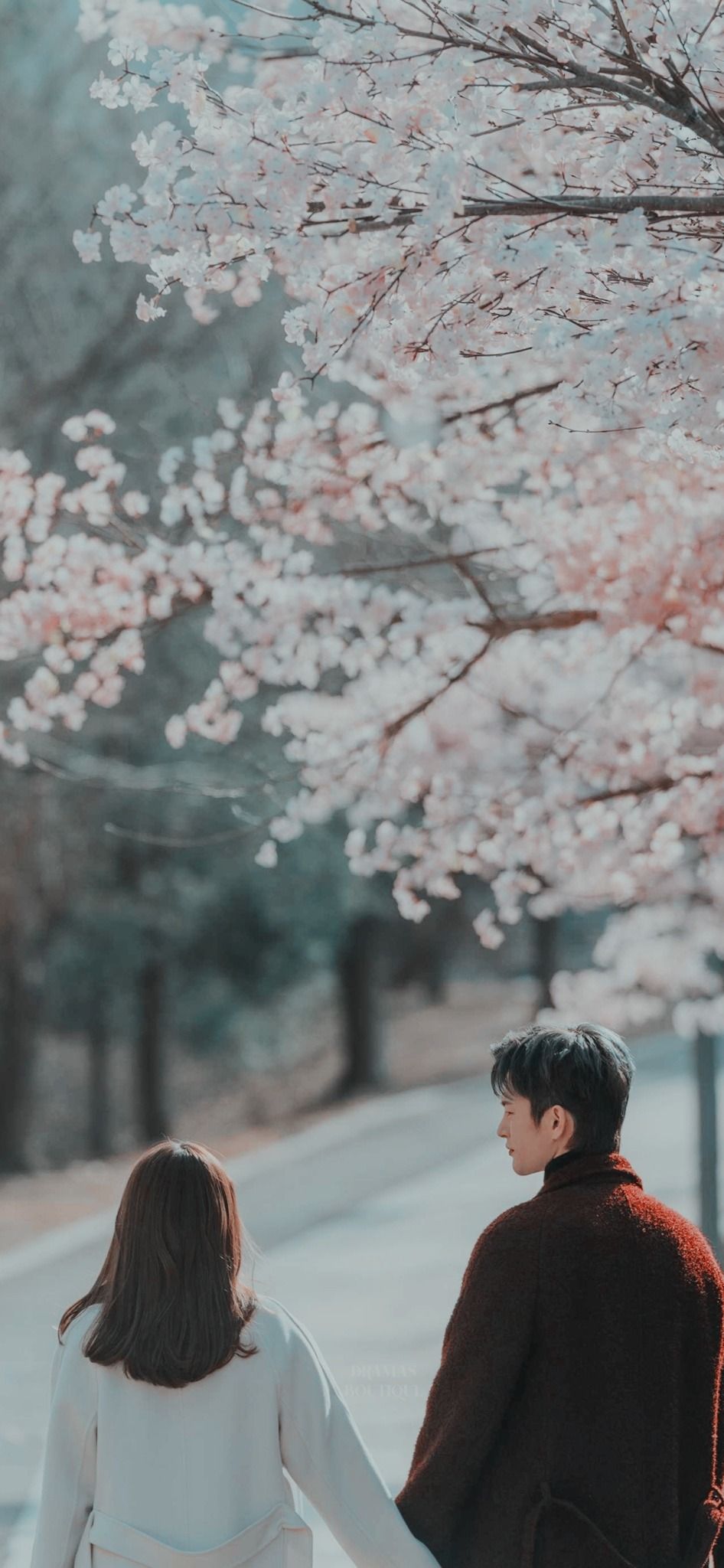 Korean drama Wallpaper, HD Korean drama Background on WallpaperBat