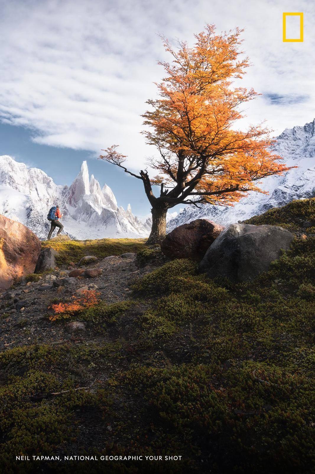 National Geographic على X: It took me 2 trips, 3 nights camped, and 1 night hike to finally get a shot of this beautiful mountain in the Andes, writes Your Shot photographer