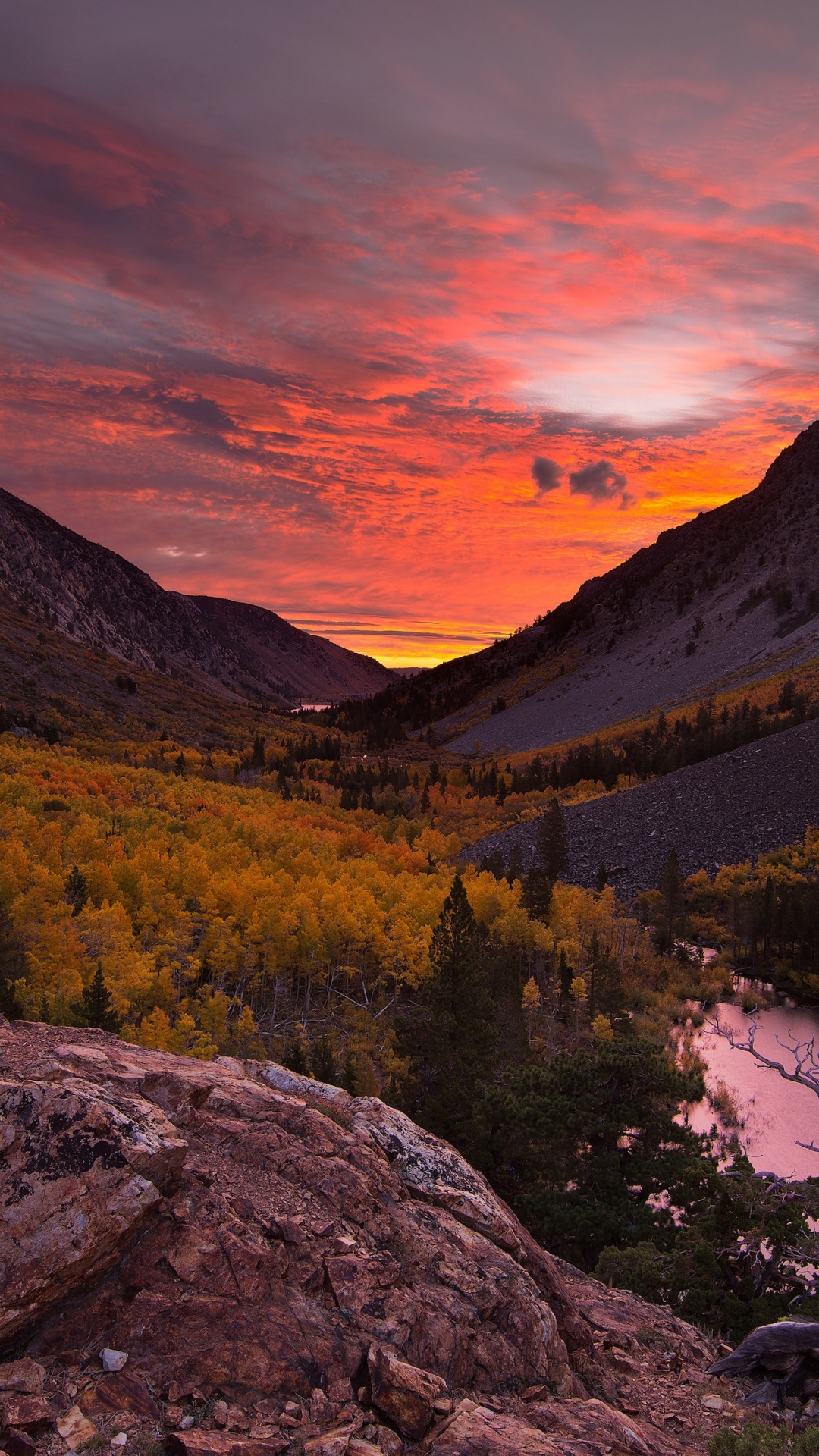 National Geographic Wallpaper for IPhone 6S /7 /8 [Retina HD]