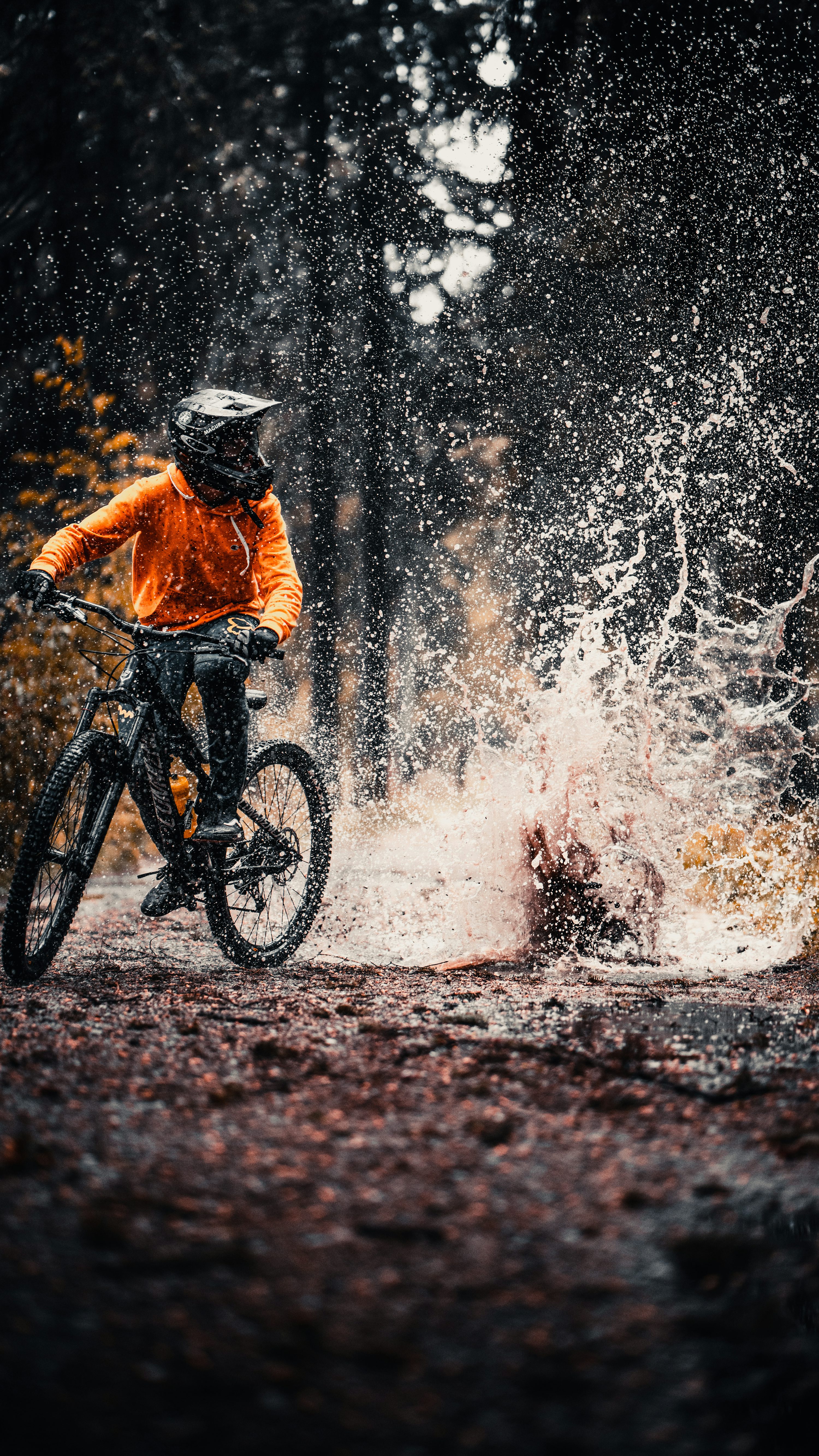 Mountain Bike Picture. Download Free Image