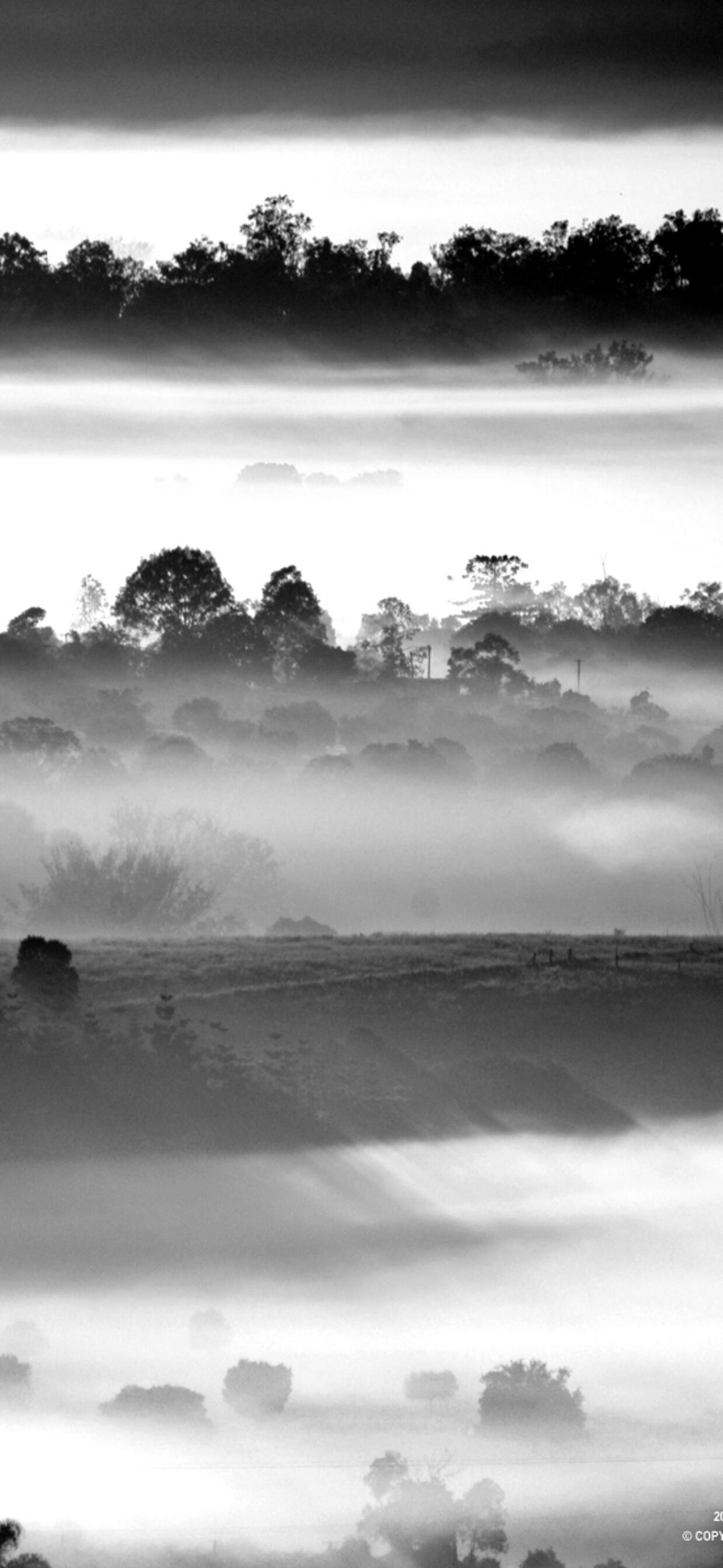 Wallpaper Fog National Geographic Black 1242x2688 IPhone XS Max From Y N D Image And Screensavers