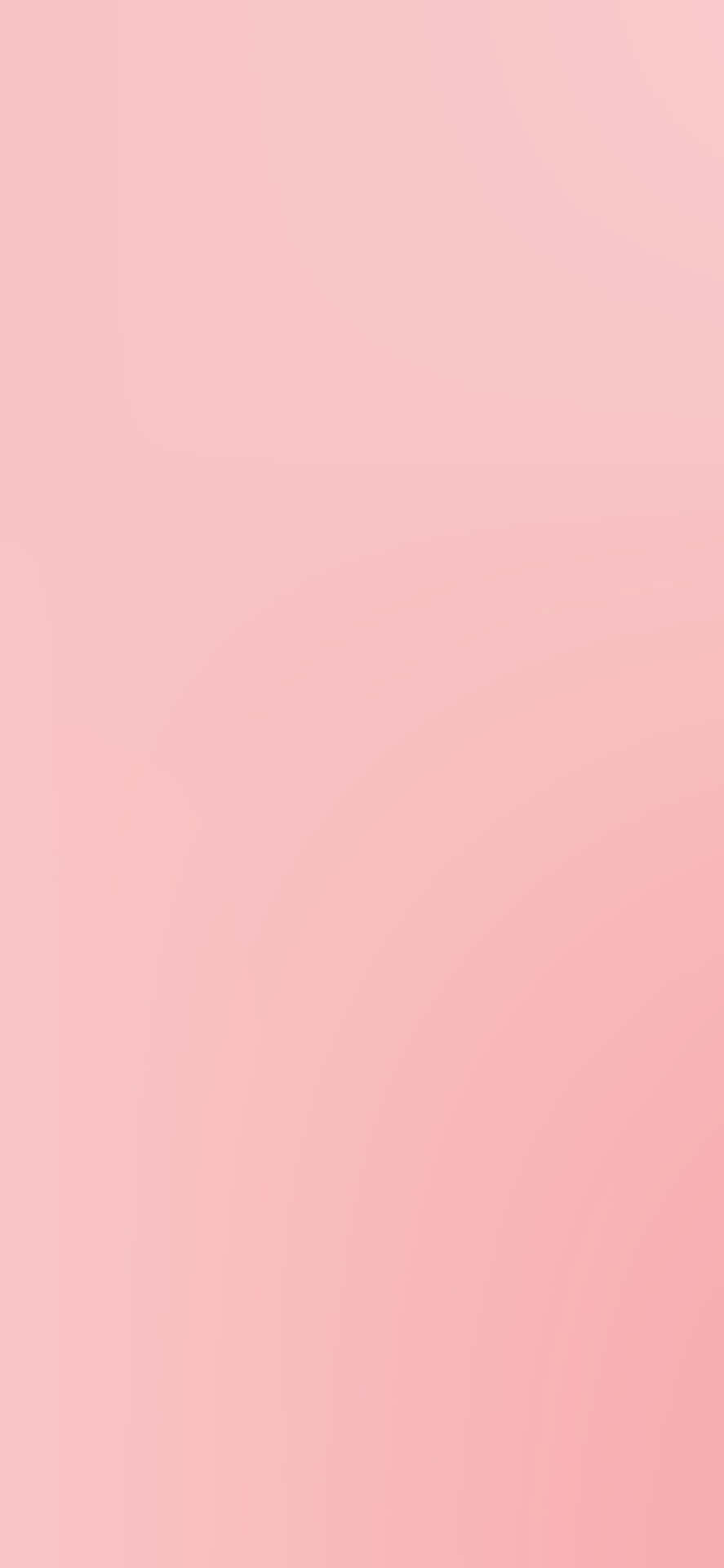 Pink Solid Color Background