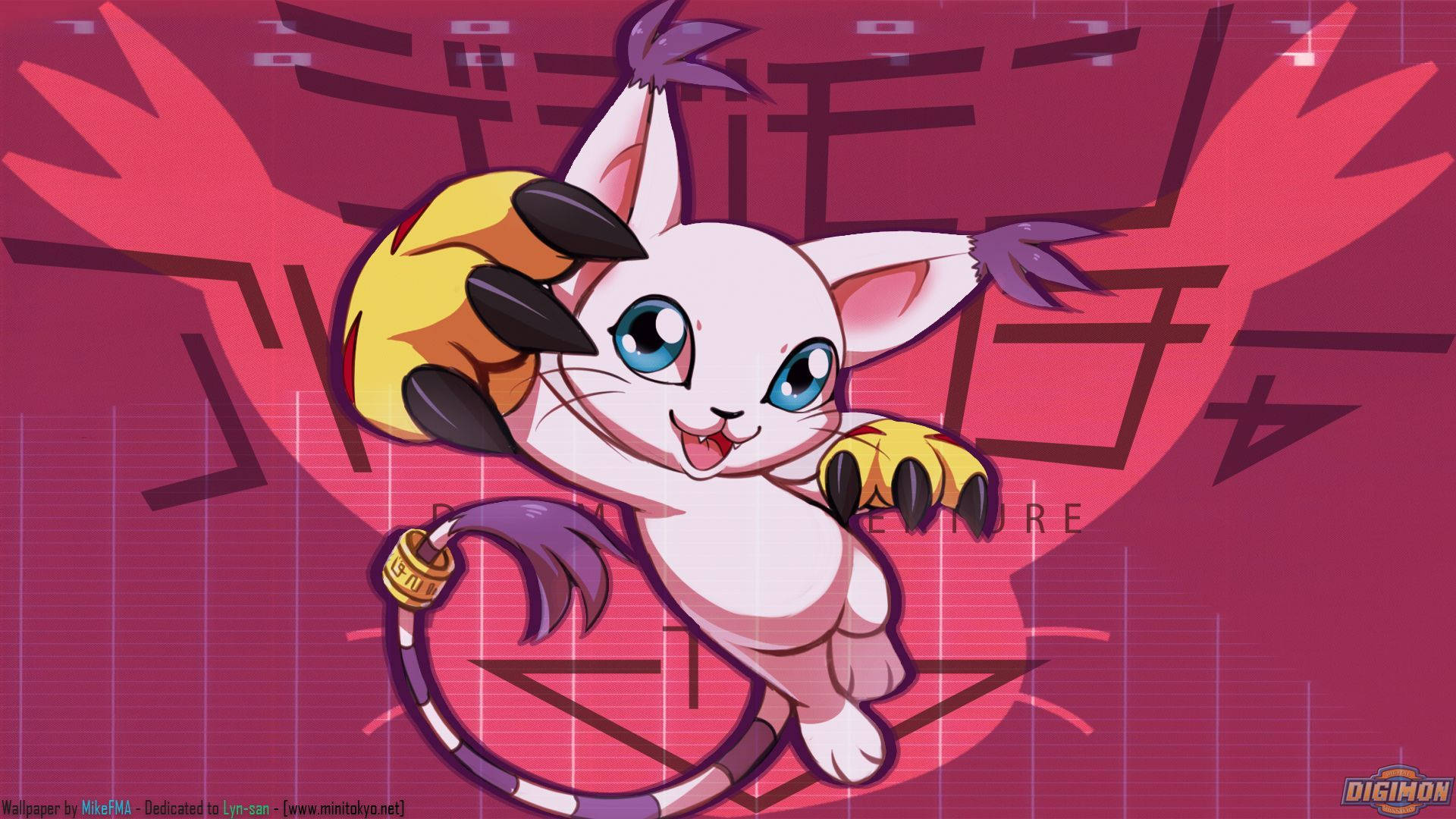 Adorable Gatomon Digimon Adventure HD Wallpaper