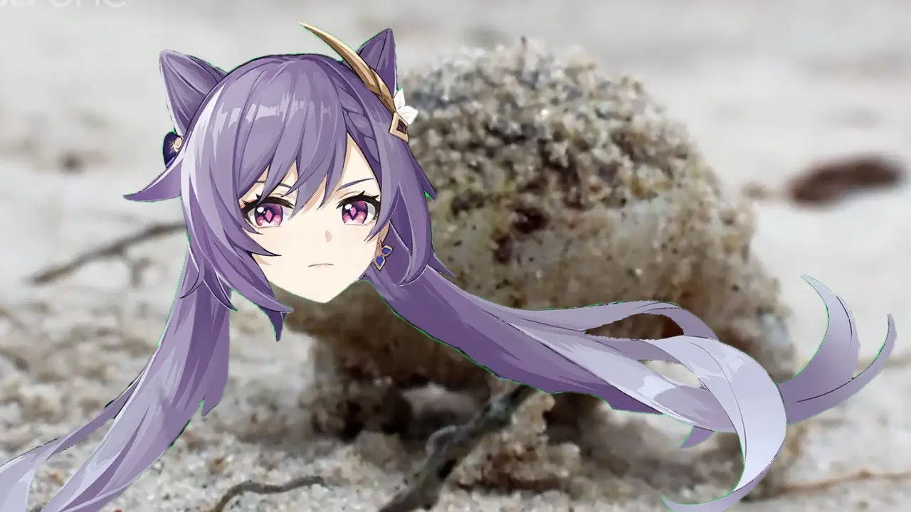 Shades of Keqing Genshin Impact